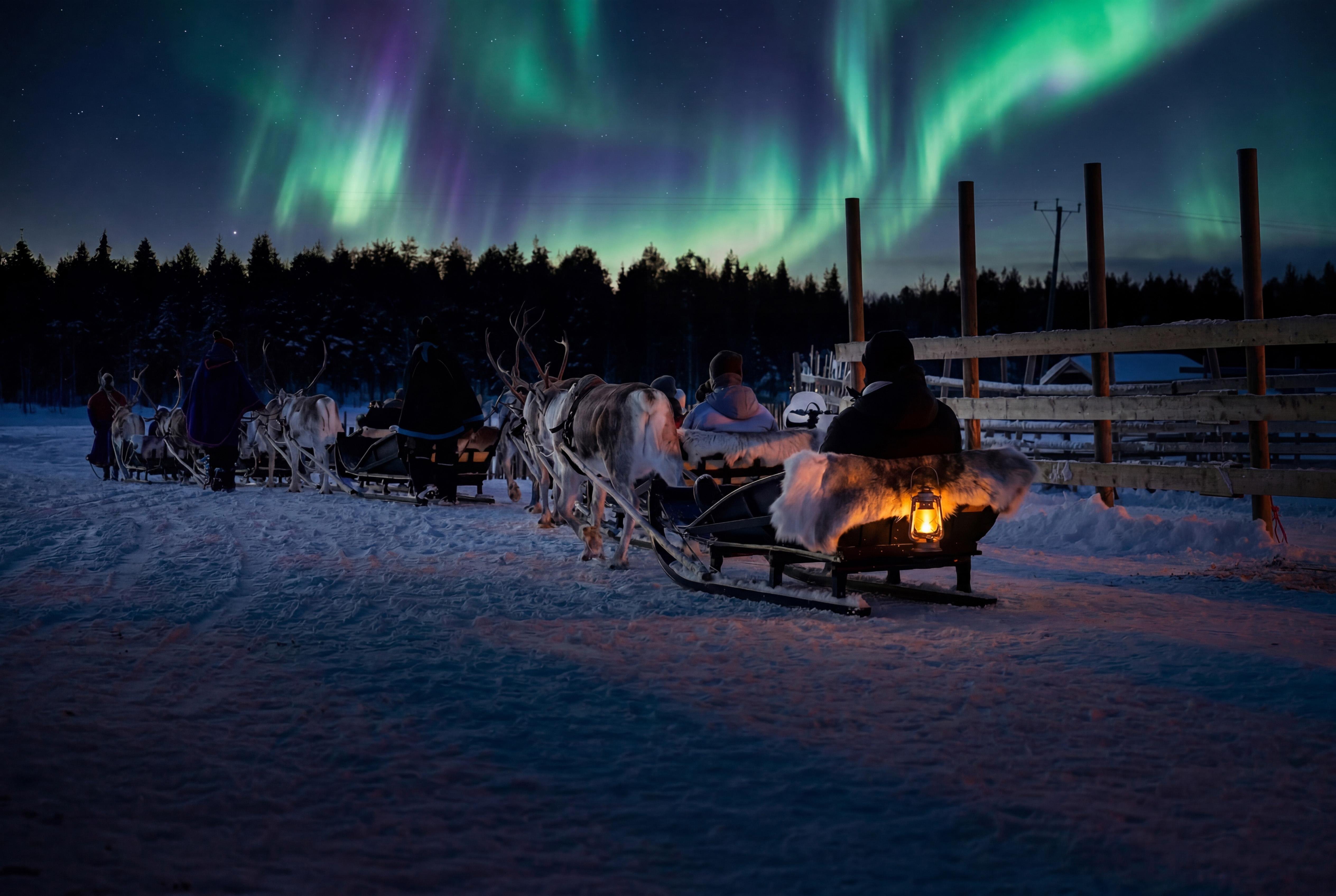Rovaniemi Night Reindeer Sleigh Safari with Aurora Viewing