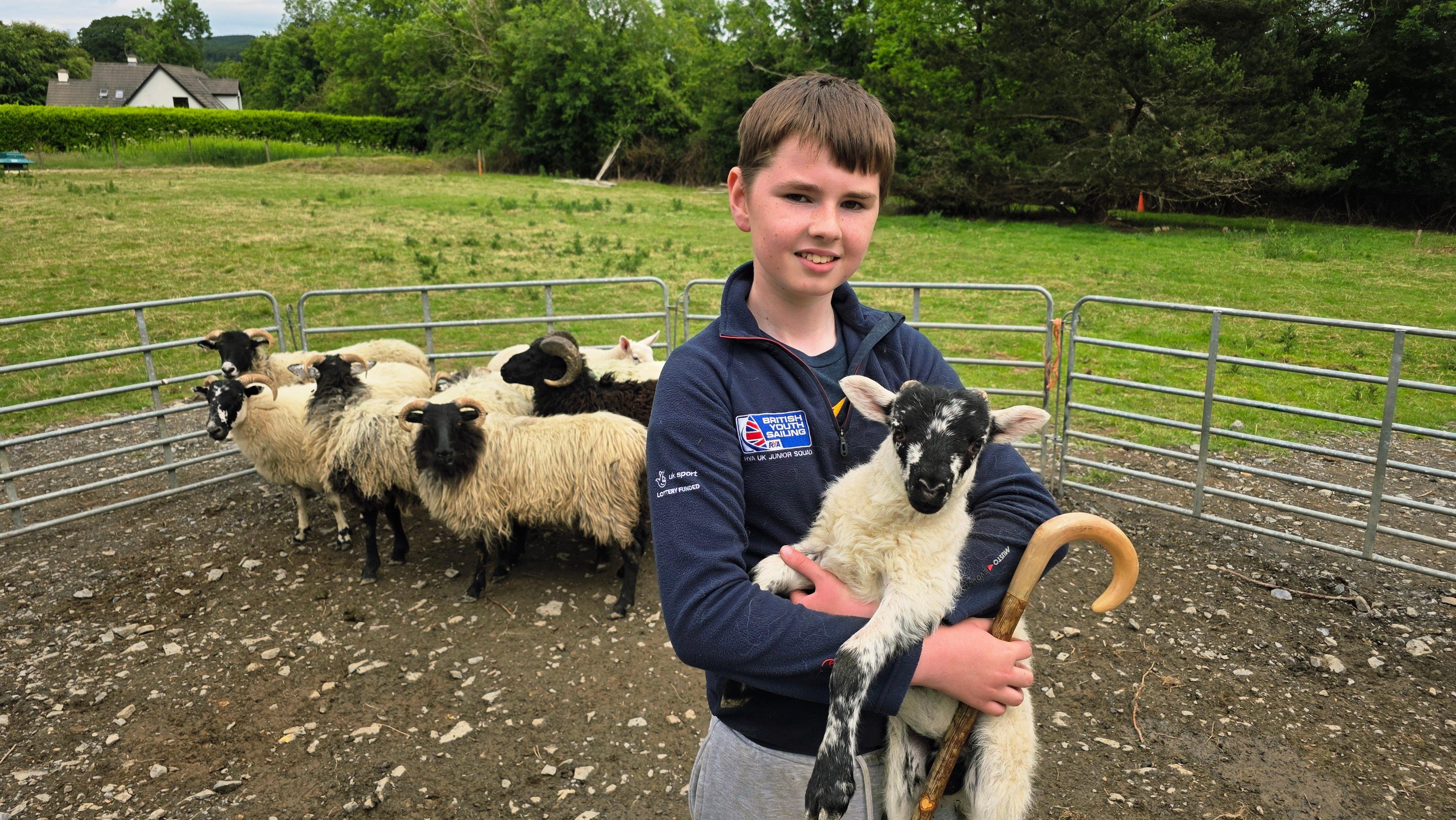 Wicklow Shepherd & Sheepdog Demonstration