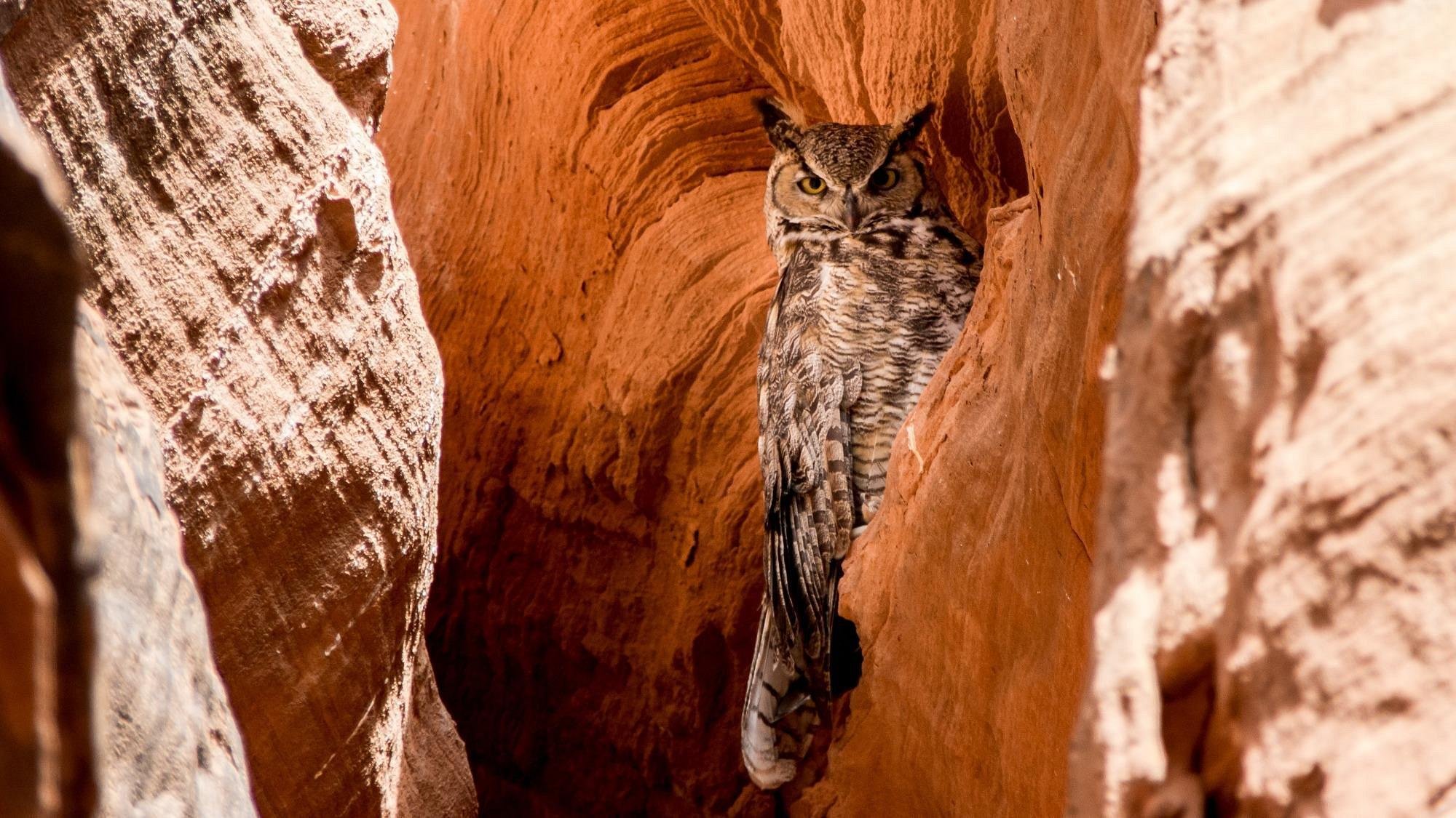 Page: AACT - Guided Upper Antelope Canyon Tour