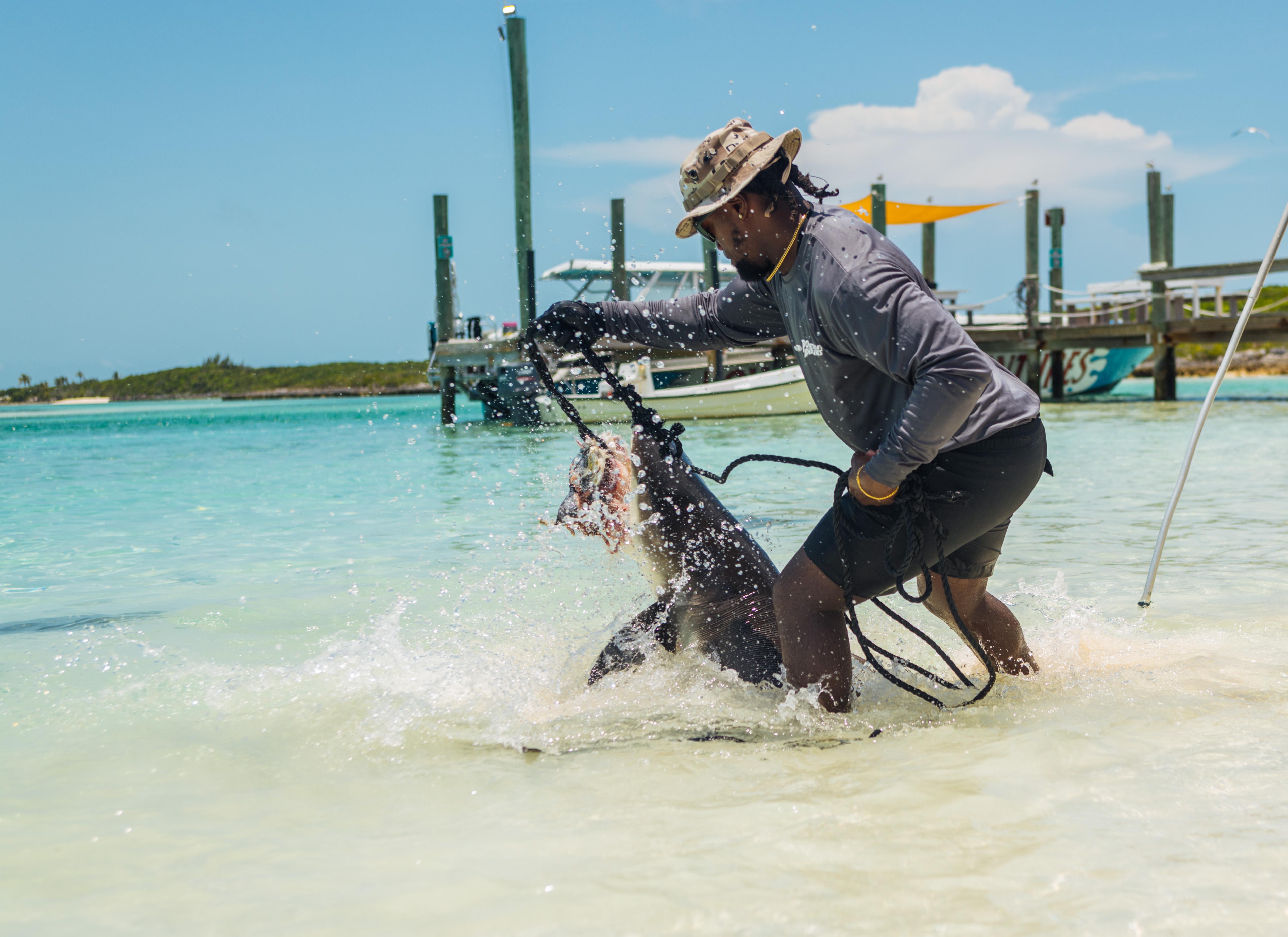 Exuma Powerboat Adventure Day Trip from Nassau