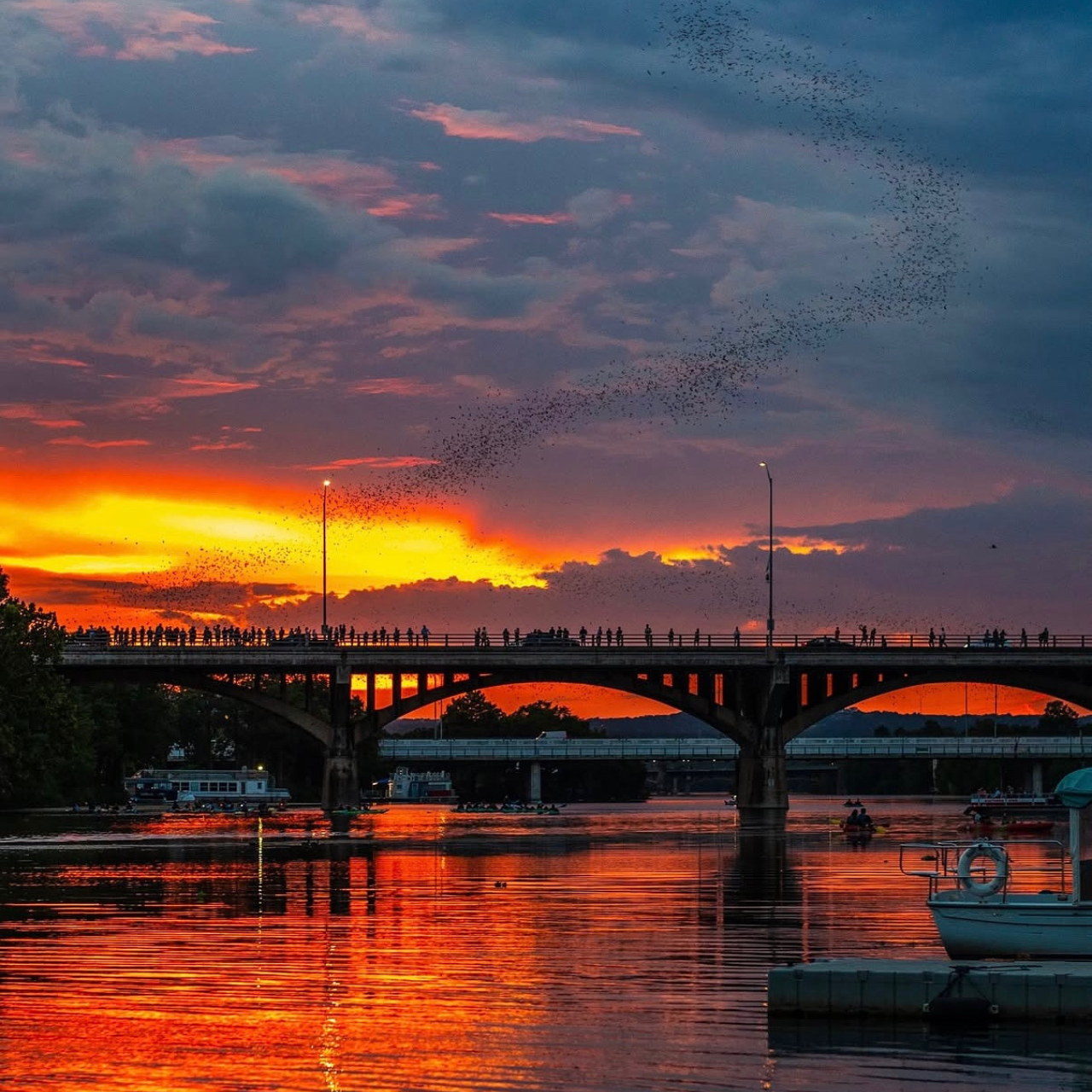 Austin Sunset Bat-Watching Kayak Experience