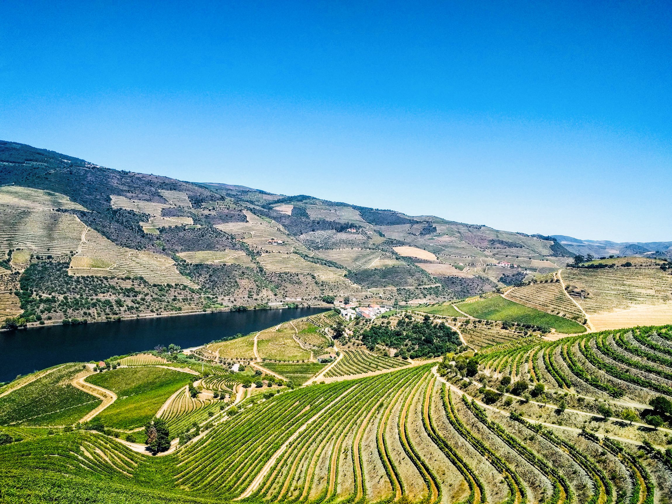 Douro Valley Day Trip: Boat Cruise, Wine Tasting & Traditional Lunch from Porto