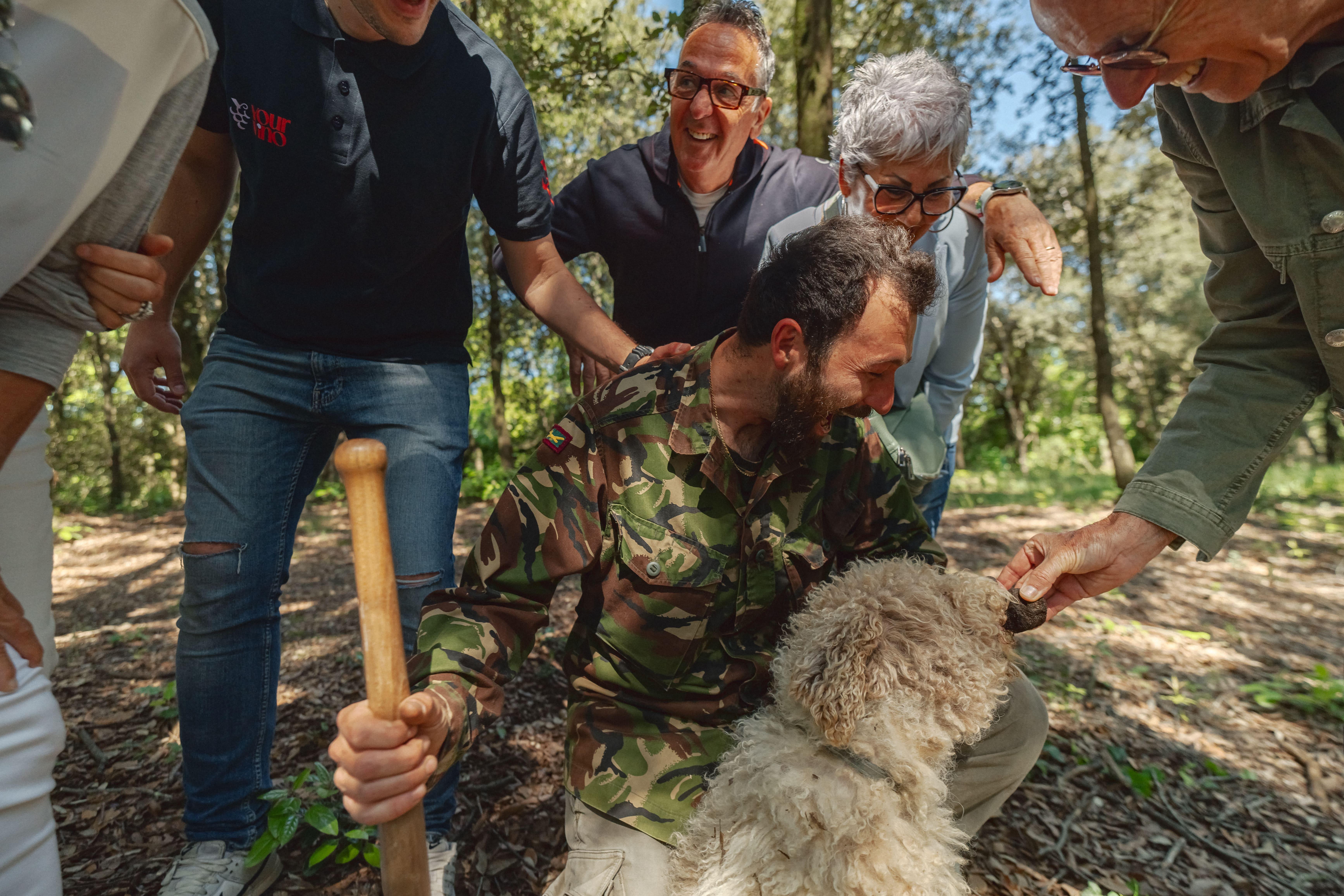 Tuscan Truffle Hunt, Winery Tour & San Gimignano