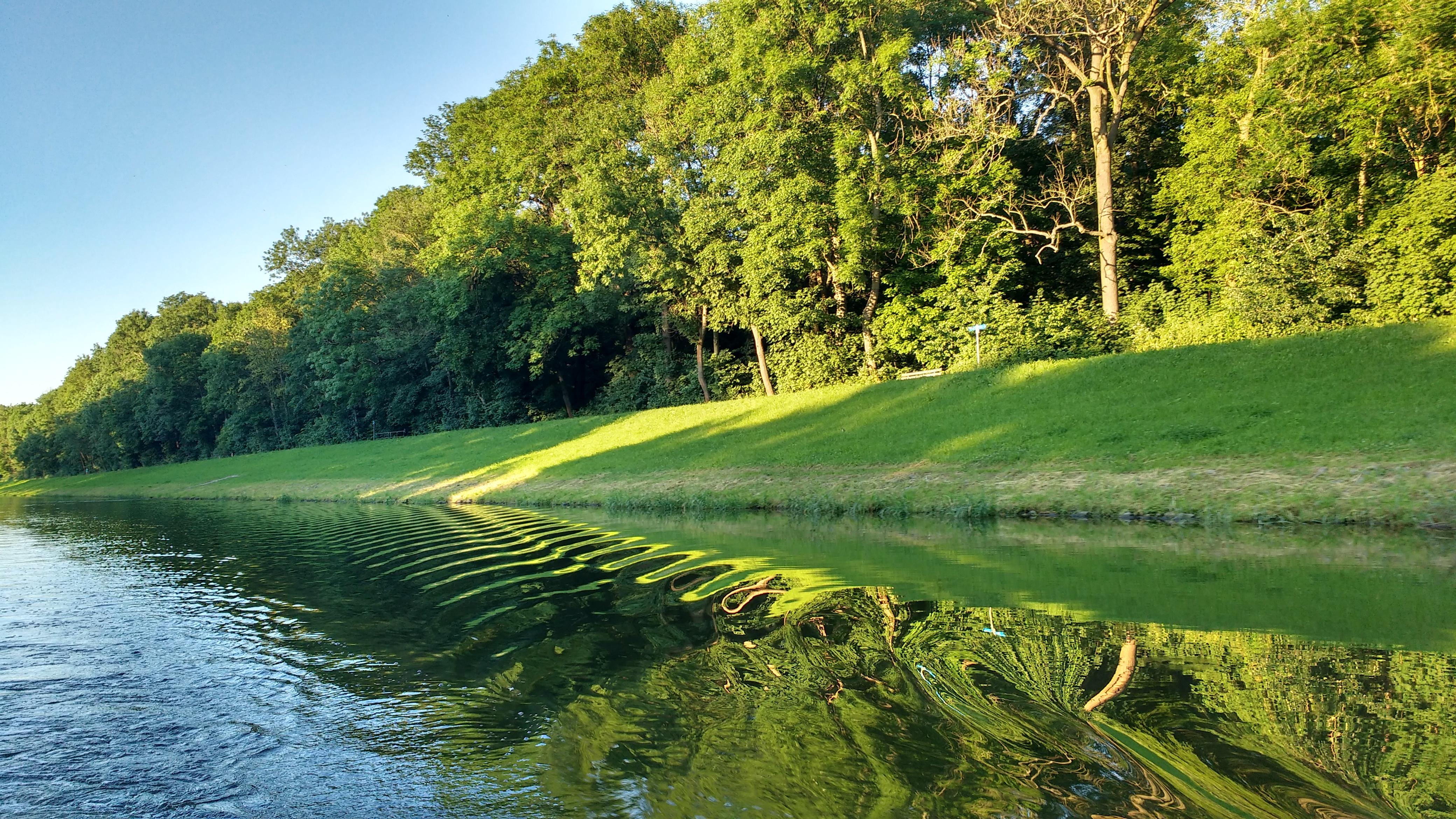 Auwald Motorboat Journey Through Leipzig's Floodplain Forest
