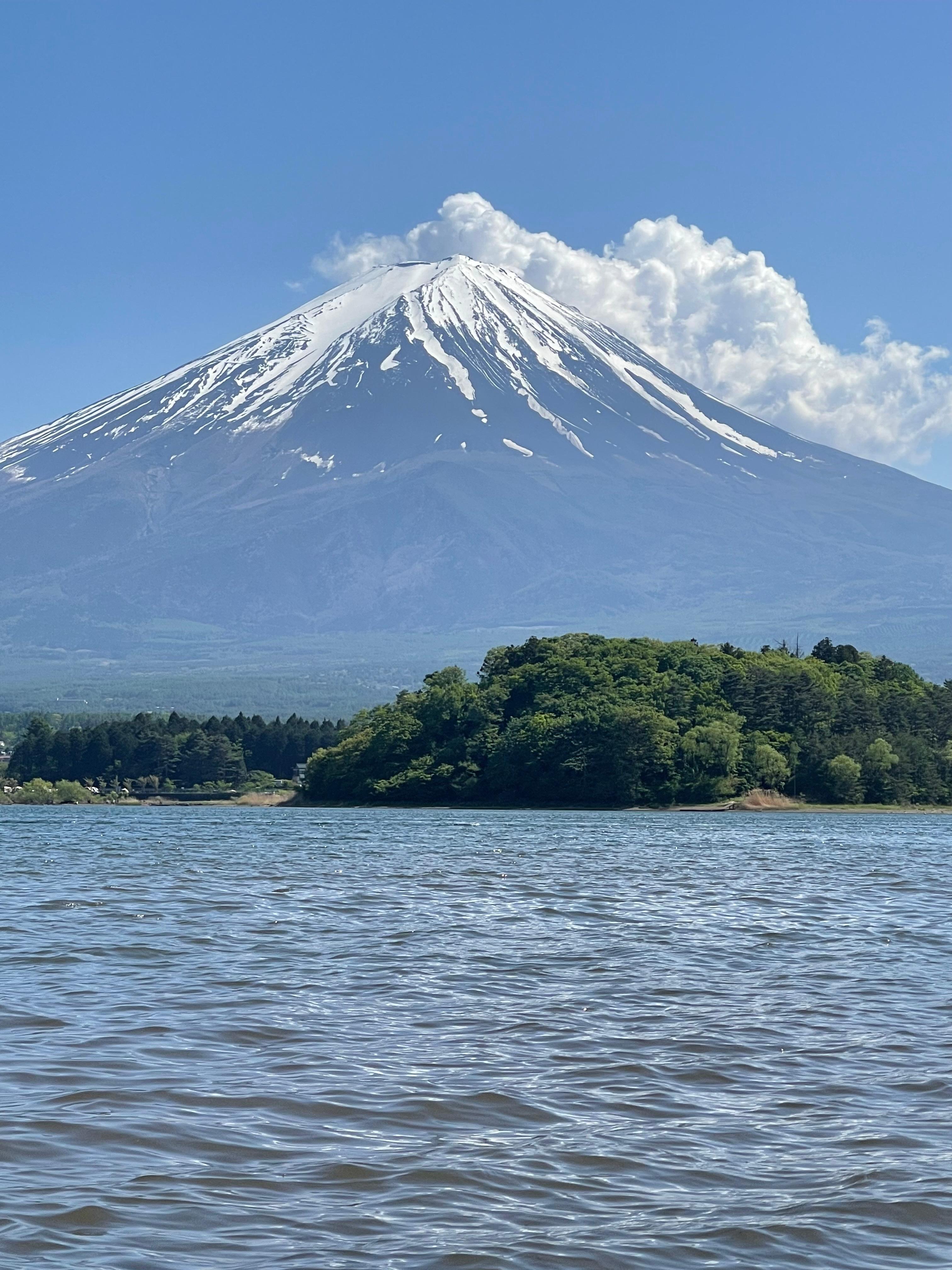 Tokyo to Mt. Fuji & Hakone: Private Full-Day Tour with English Driver