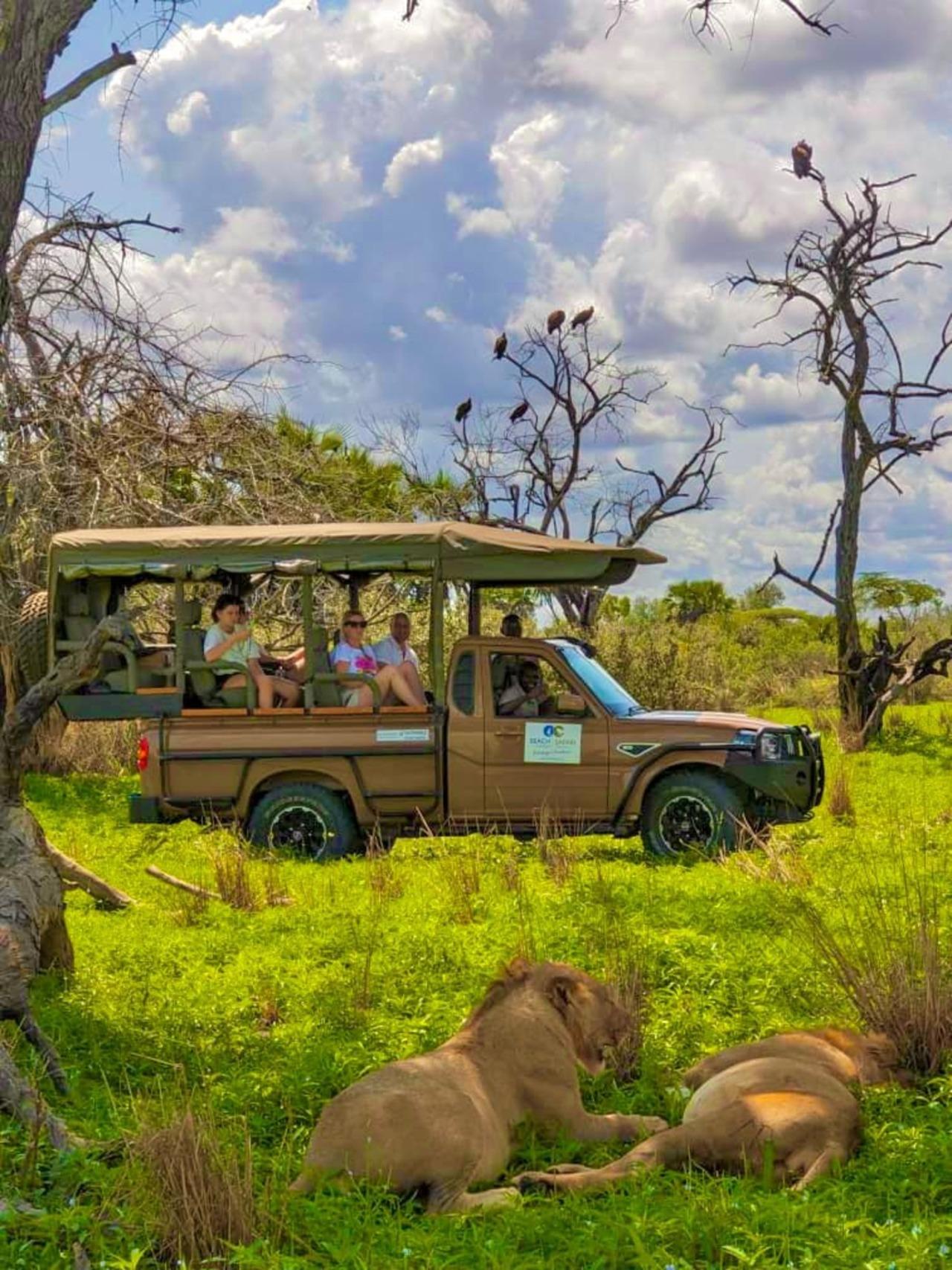 Zanzibar to Selous: 2-Day Safari with Flights & Bush Lunch