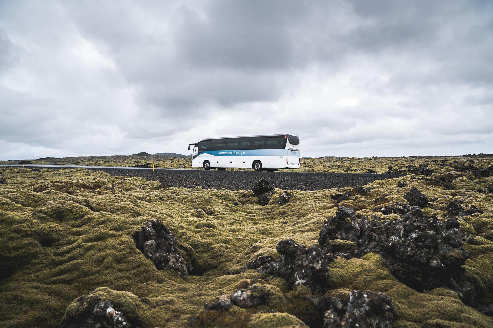 Blue Lagoon Premium Package: Reykjavík Transfers & Full Access