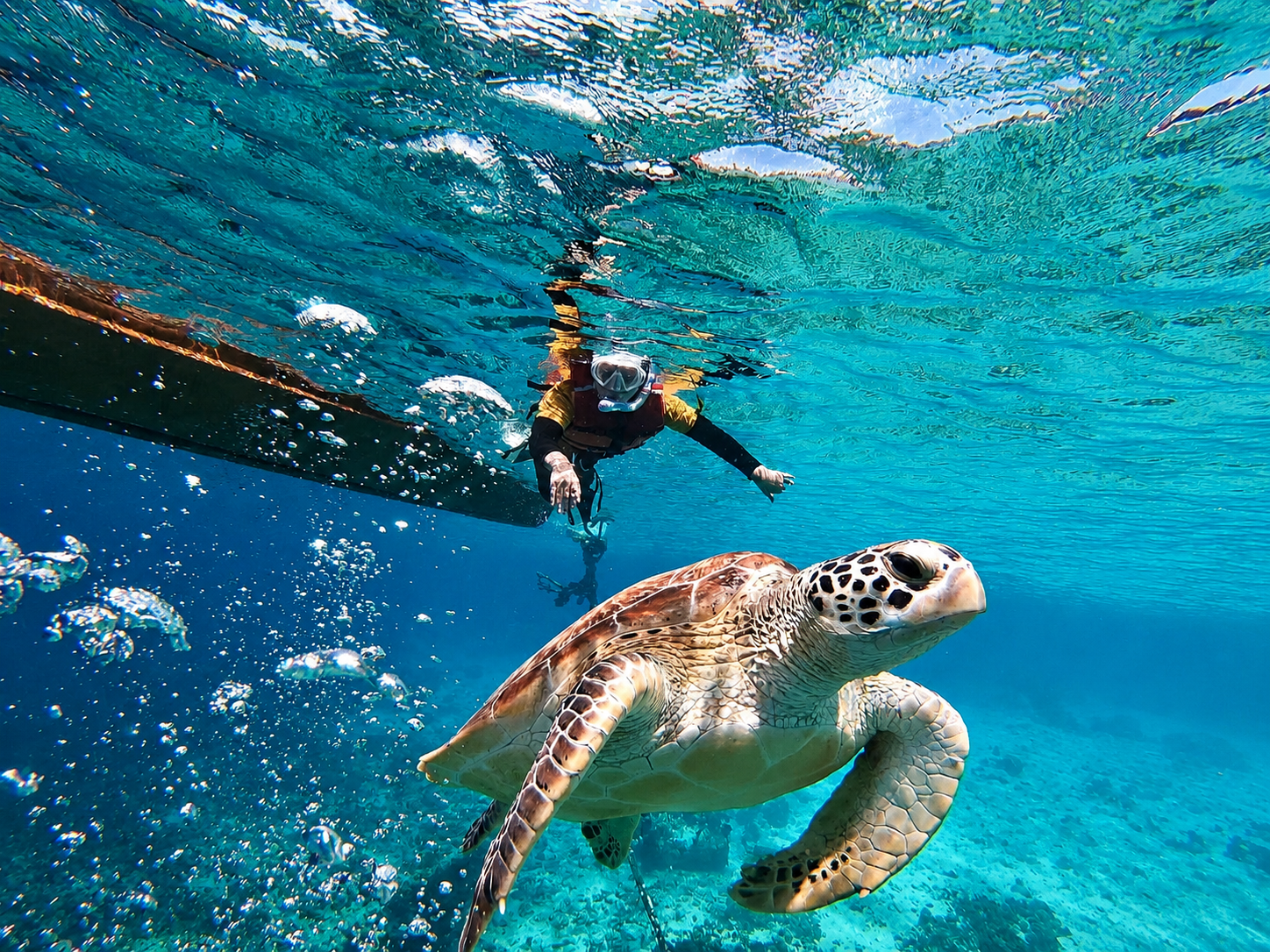 Gili Islands Private & Shared Snorkeling Adventure