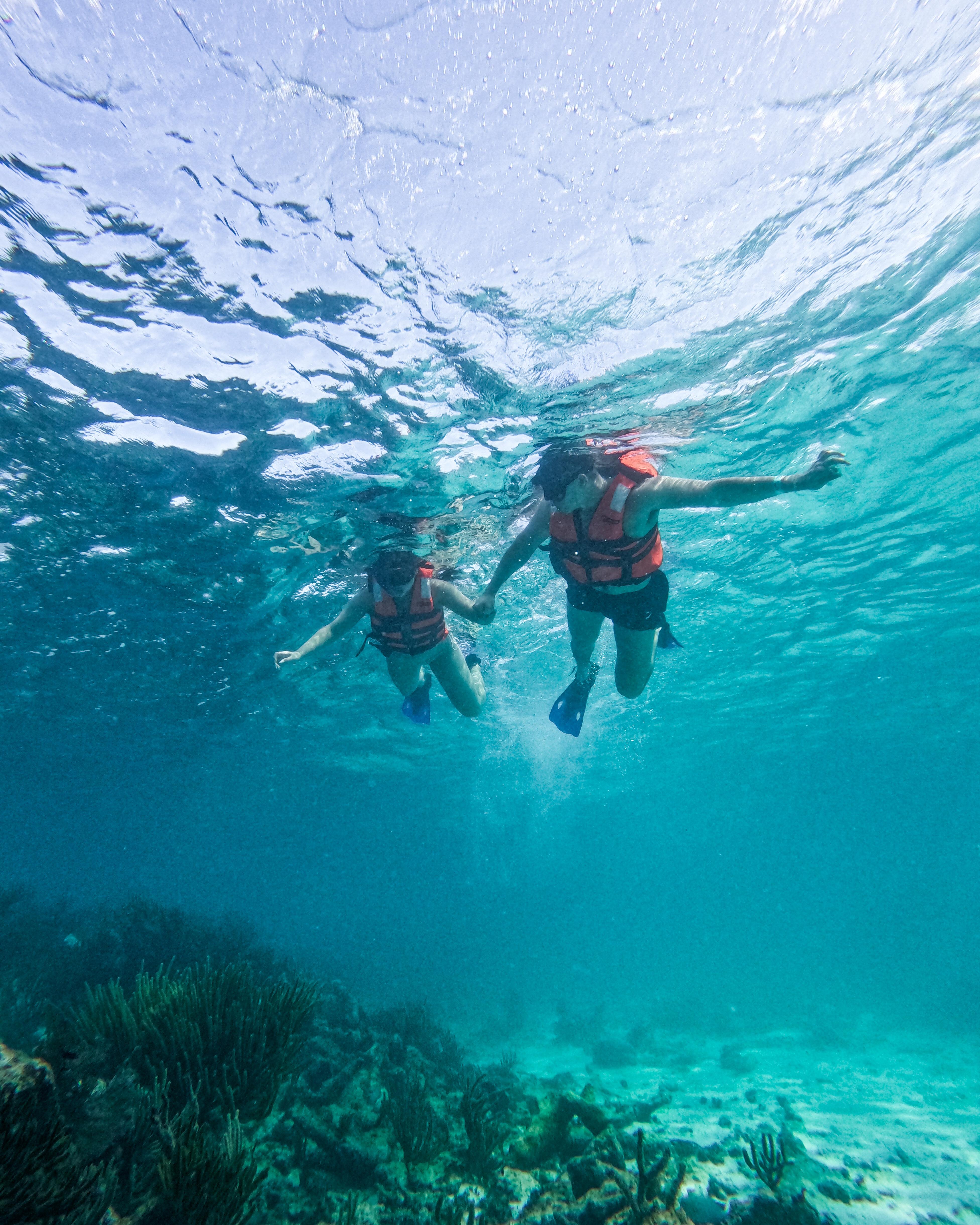 Tulum Reef Snorkeling: Two Sites in Two Hours