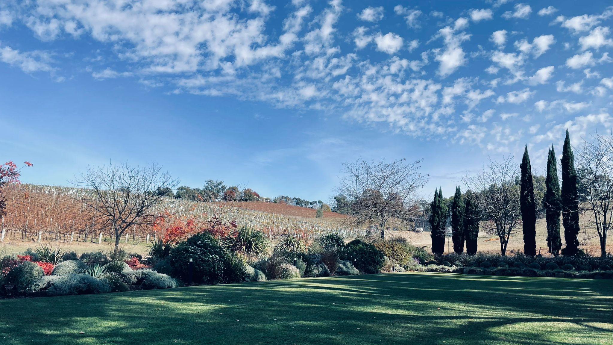 Adelaide Hills Wine & Heritage Discovery