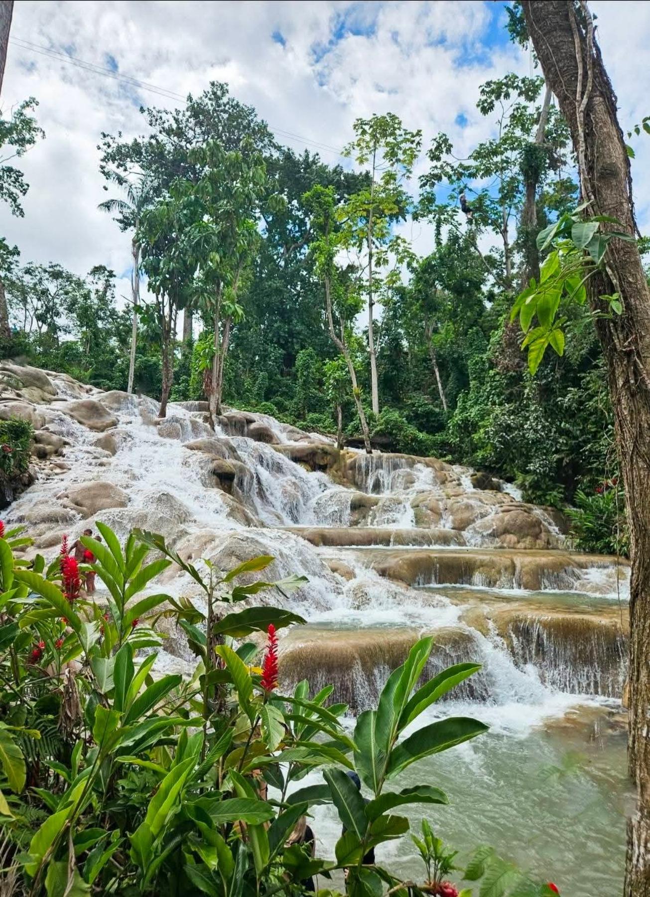 Ocho Rios & Dunn's River Falls Day Trip from Montego Bay