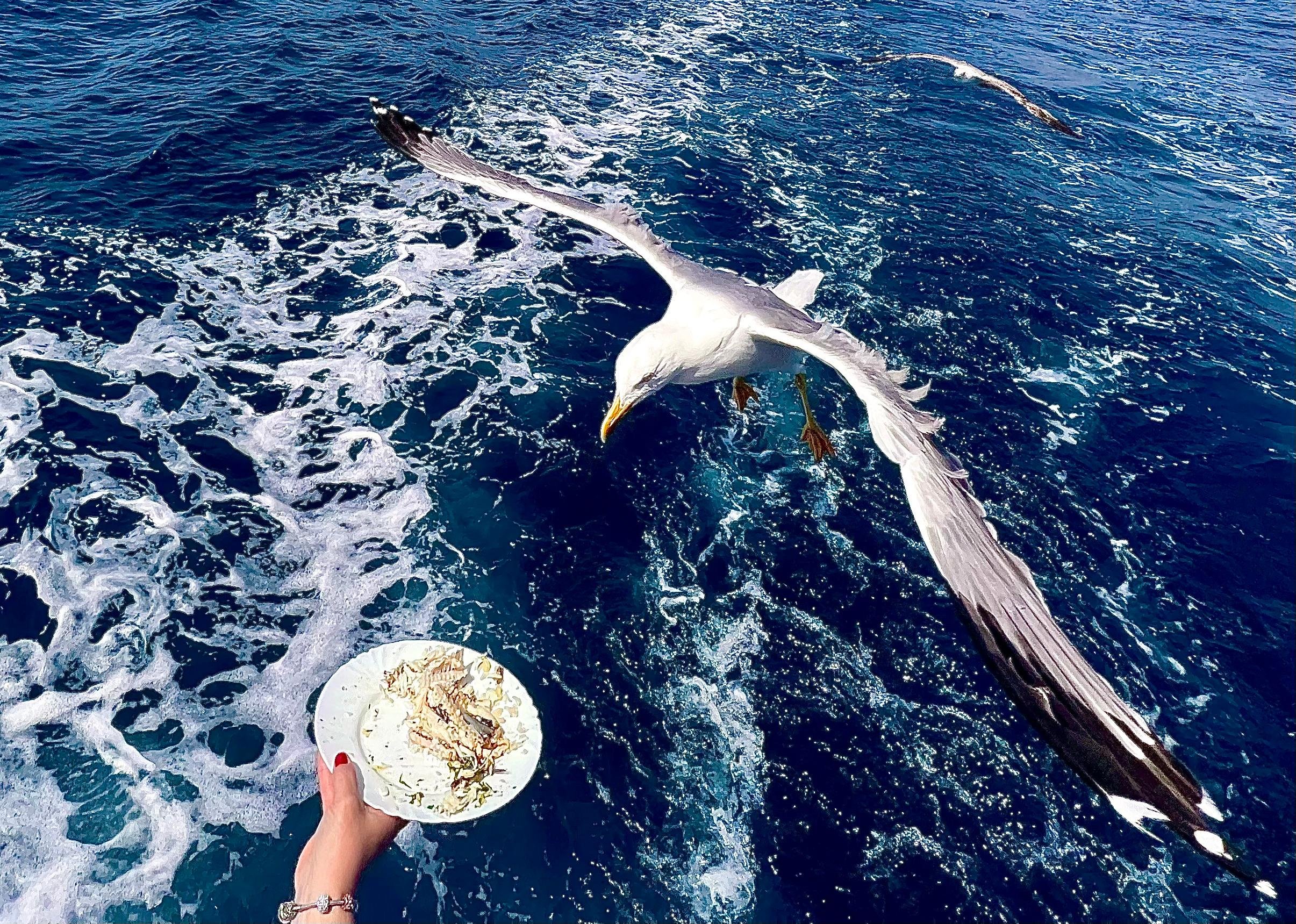 Dubrovnik: Full-Day Elaphite Islands Cruise