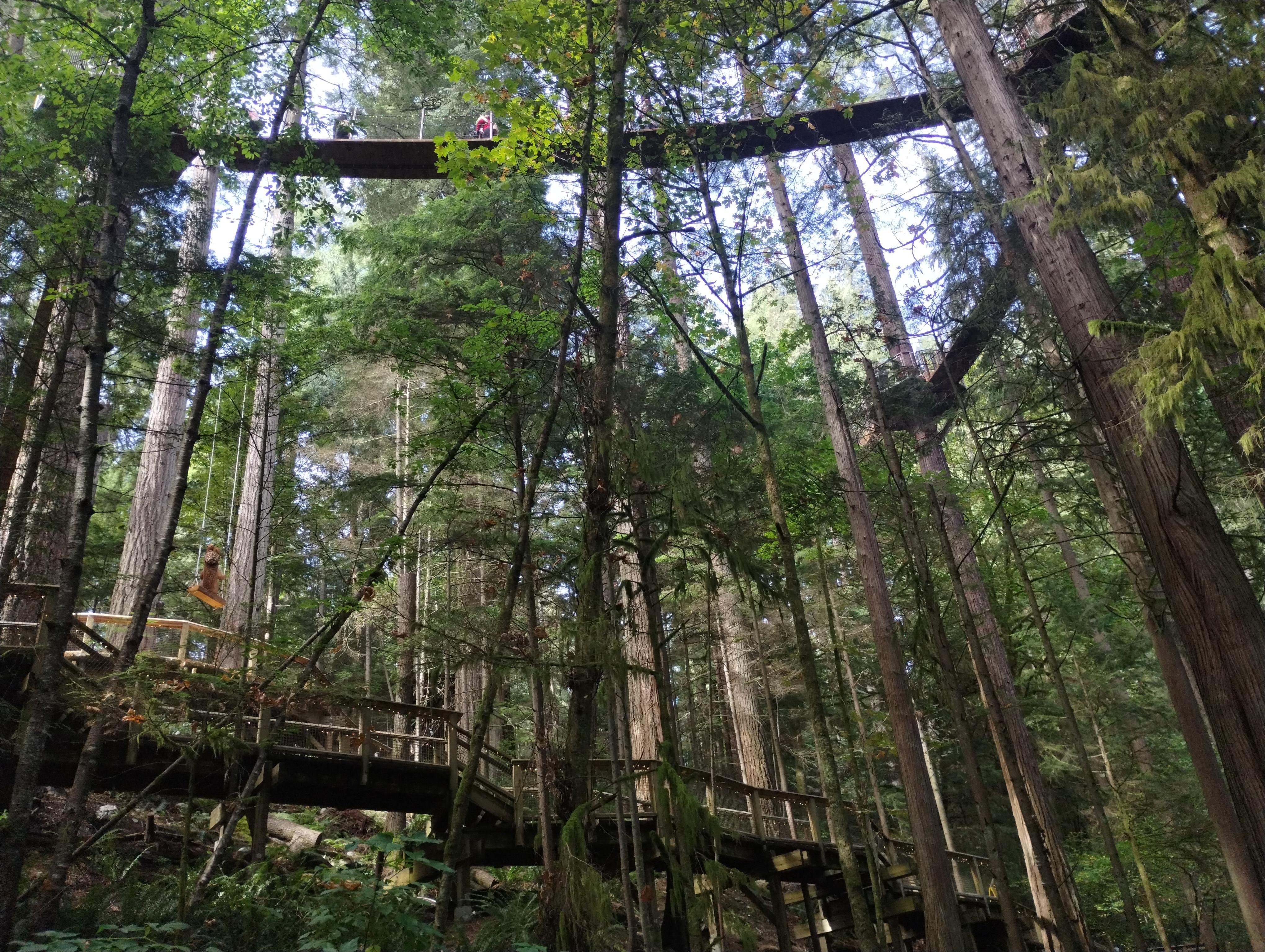 Capilano Suspension Bridge & Stanley Park Small Group Tour