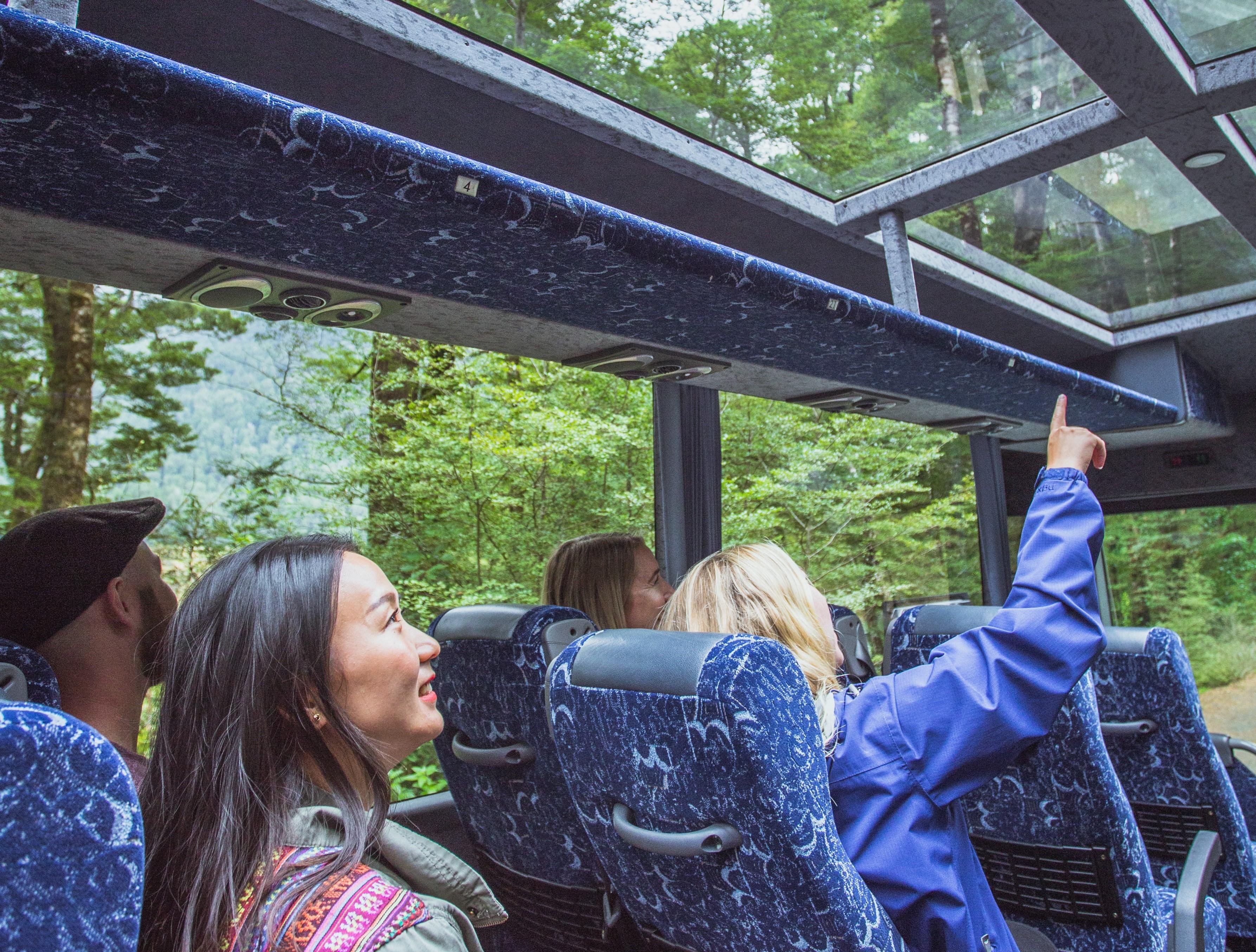 Queenstown to Milford Sound: Full-Day Coach & Cruise
