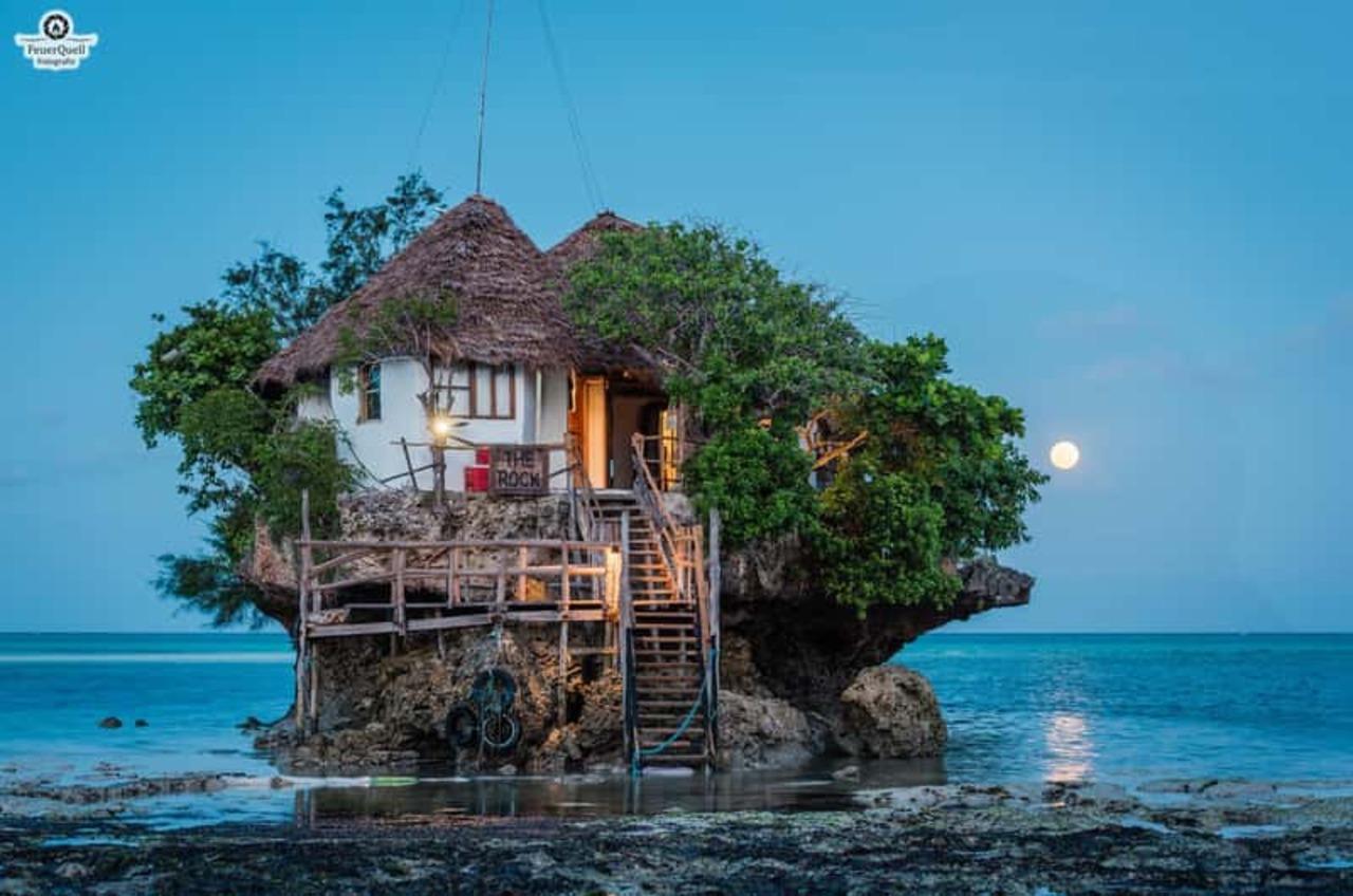 Zanzibar Full-Day: Jozani Forest, Turtle Swim & The Rock Restaurant