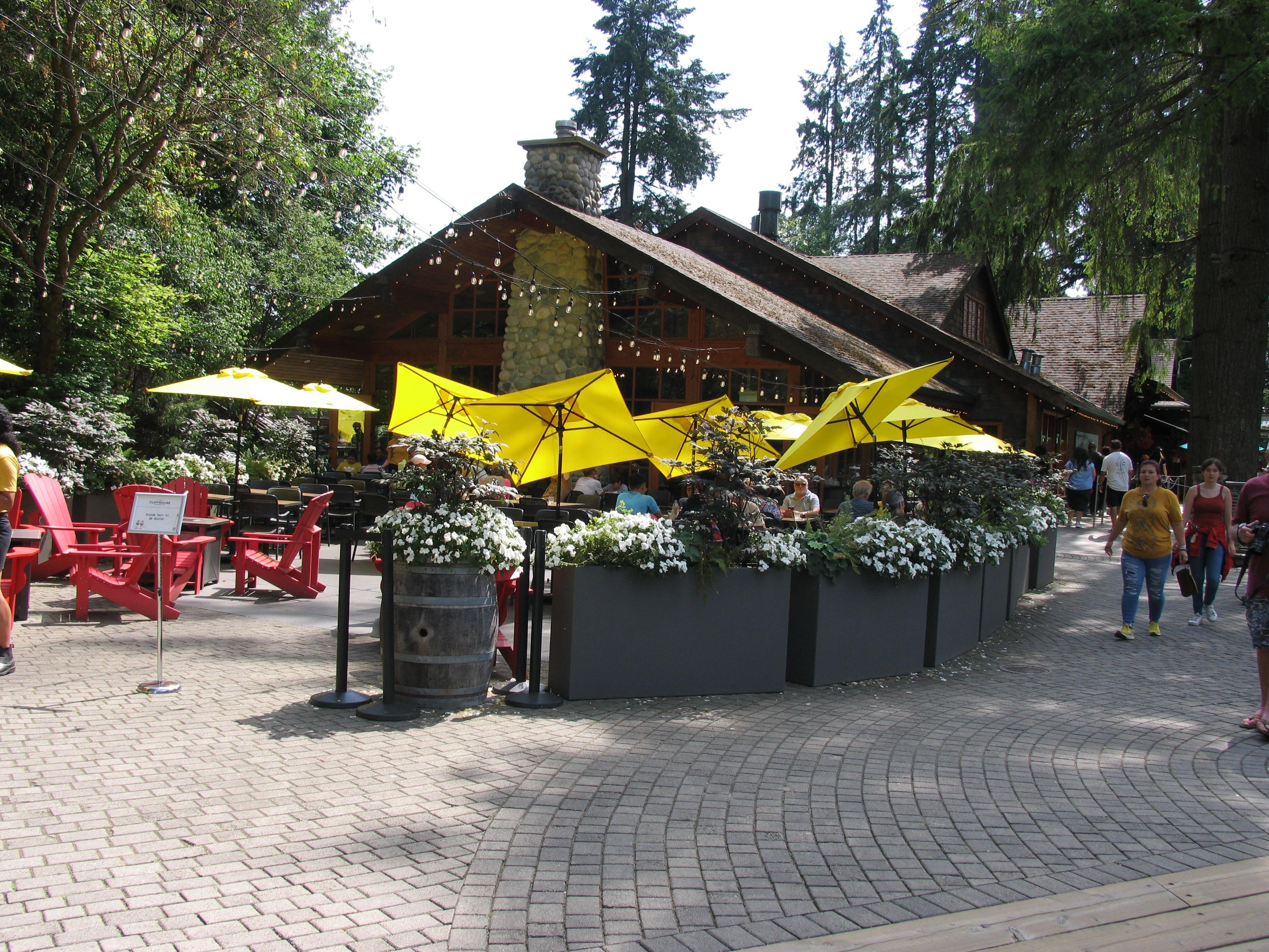 Capilano Suspension Bridge & Stanley Park Small Group Tour