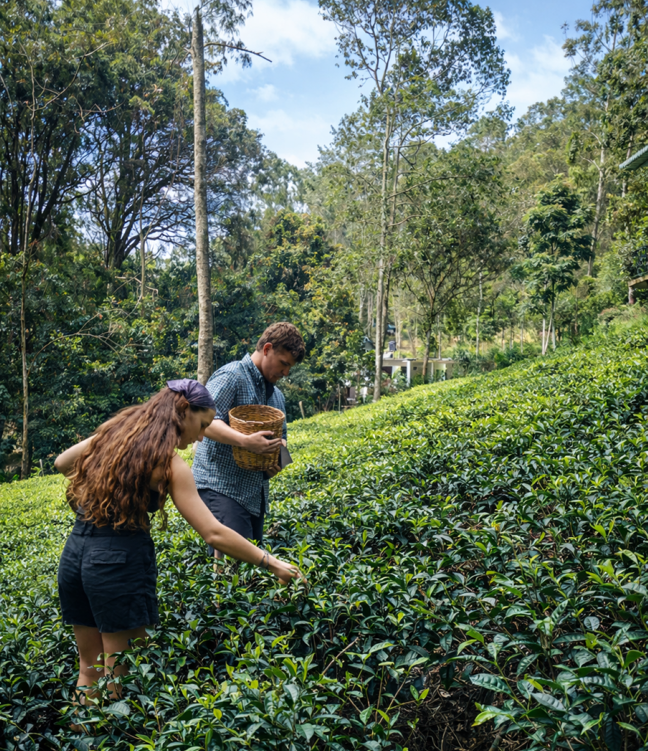 Ella: Hands-On Tea Making and Tasting Experience