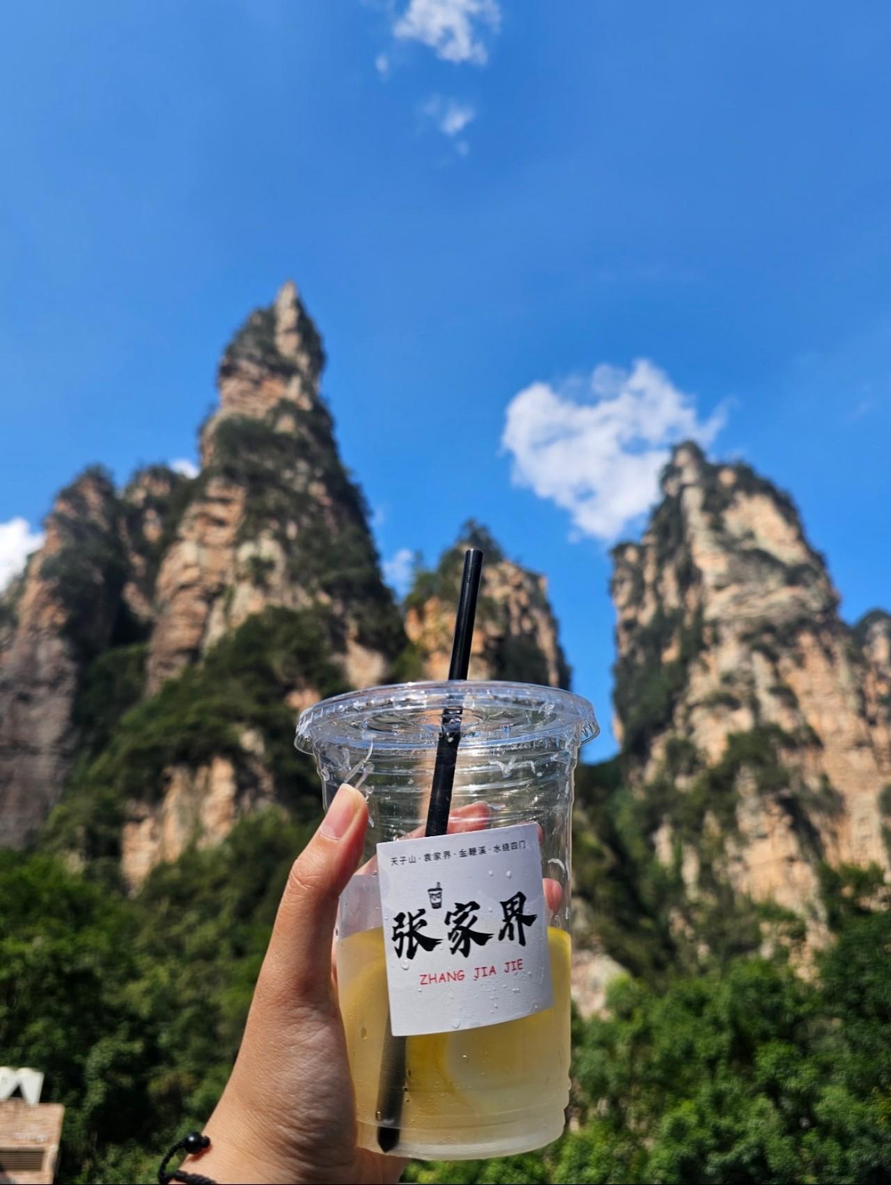 Zhangjiajie National Forest Park 4-Day All-Access Pass with Transport