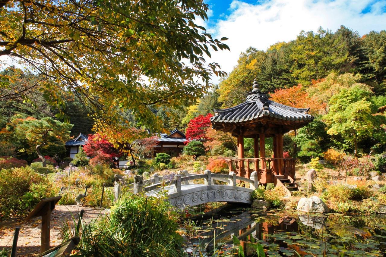 Seoul: Alpaca World, Railbike and opt Garden of Morning Calm