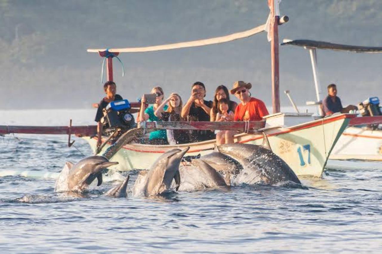 Sunrise Dolphin Watching from Traditional Boat in Lovina