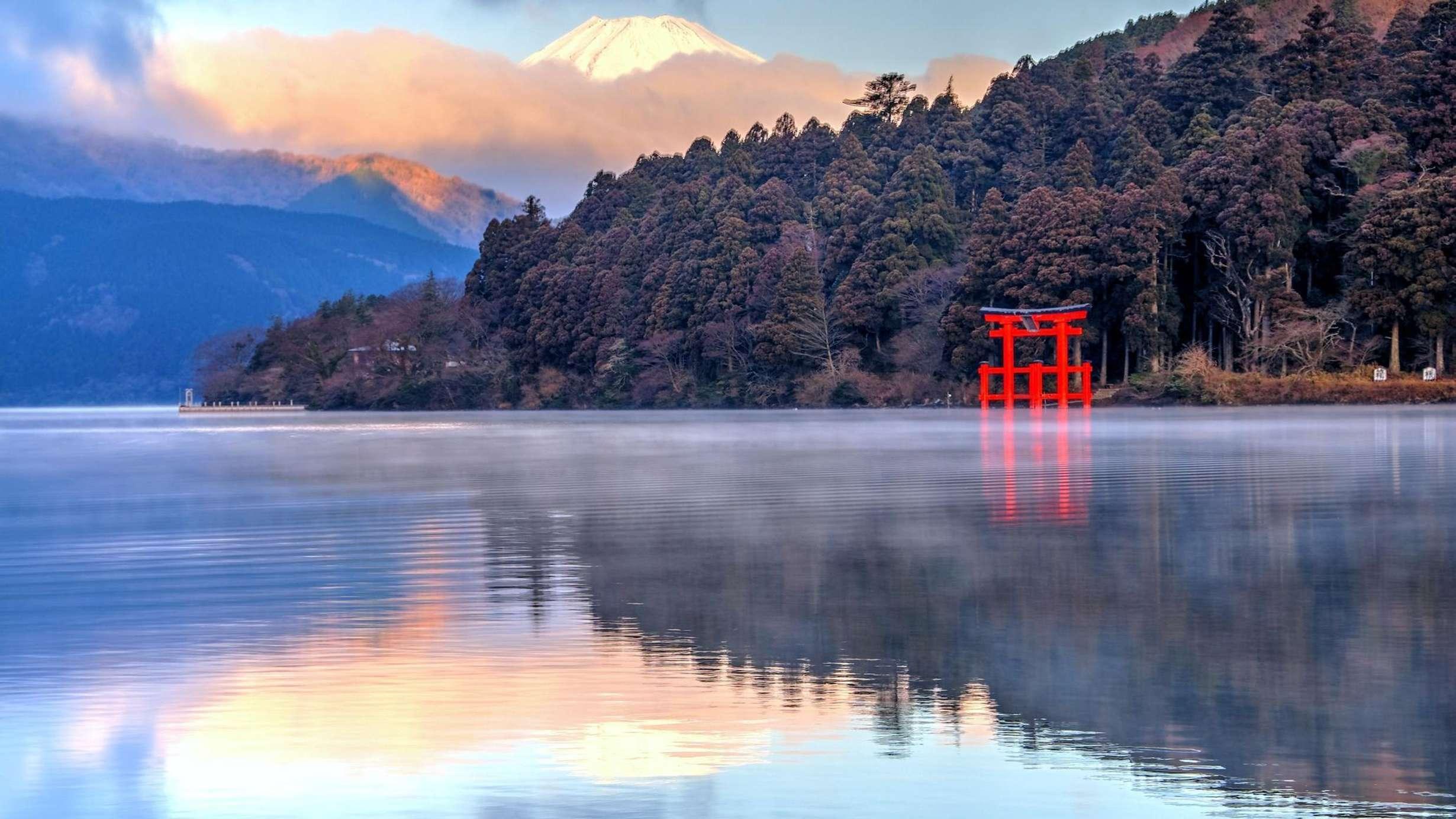 Mount Fuji Private Guided Day Tour from Tokyo