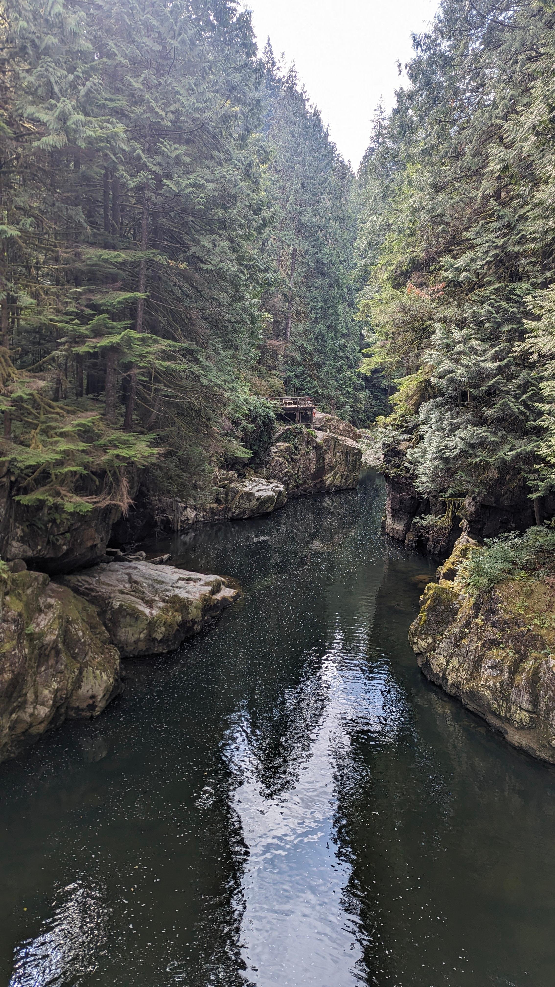 Vancouver North Shore & Capilano Canyon Lights Explorer