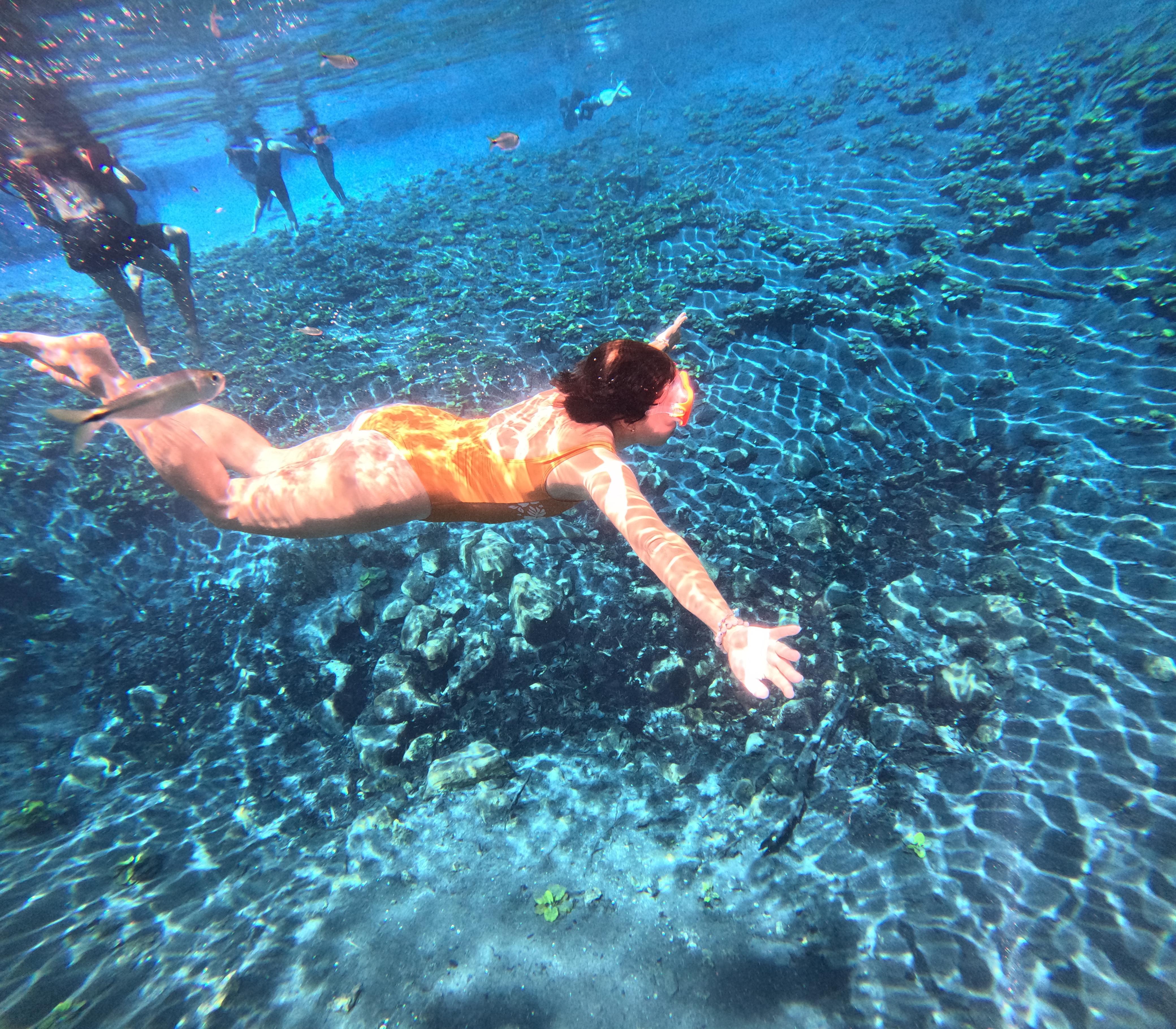 Cráter Azul Day Trip from Flores