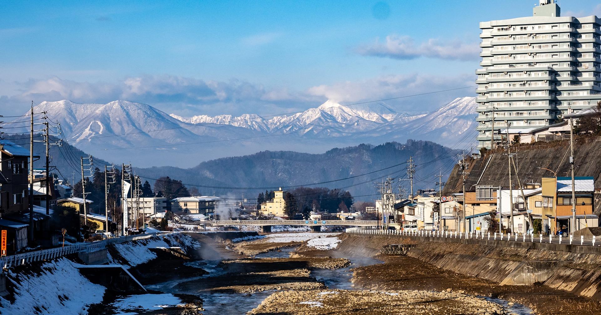 Nagano Snow Monkey & Zenkoji Temple Private Day Tour from Tokyo
