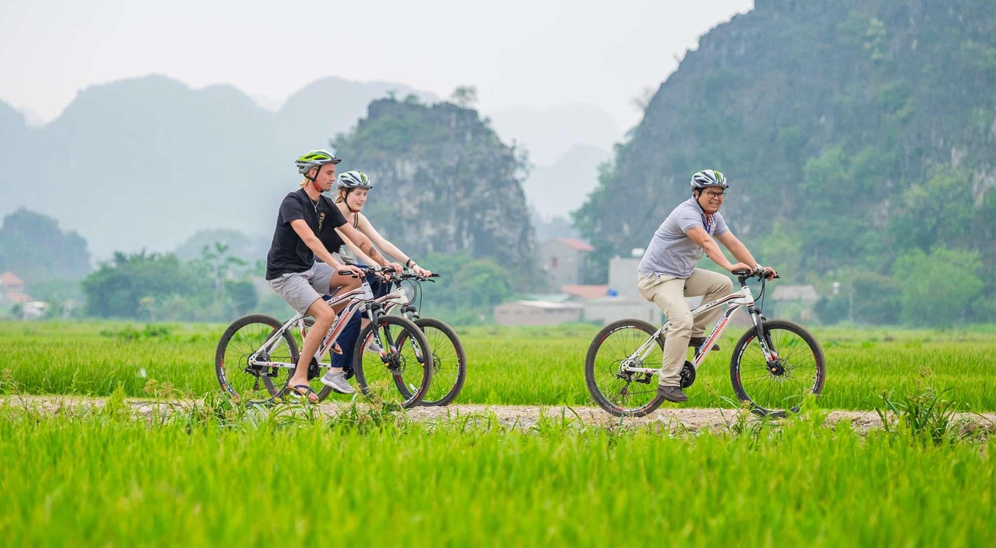 Ninh Binh Full-Day Tour: Hoa Lu or Bai Dinh, Trang An & Mua Cave