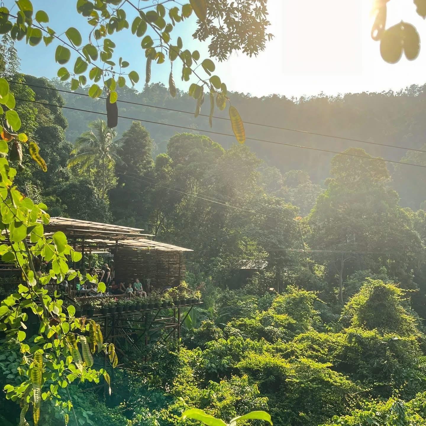 Samui Zipline Adventure: Jungle Canopy, Waterfall & Cafe