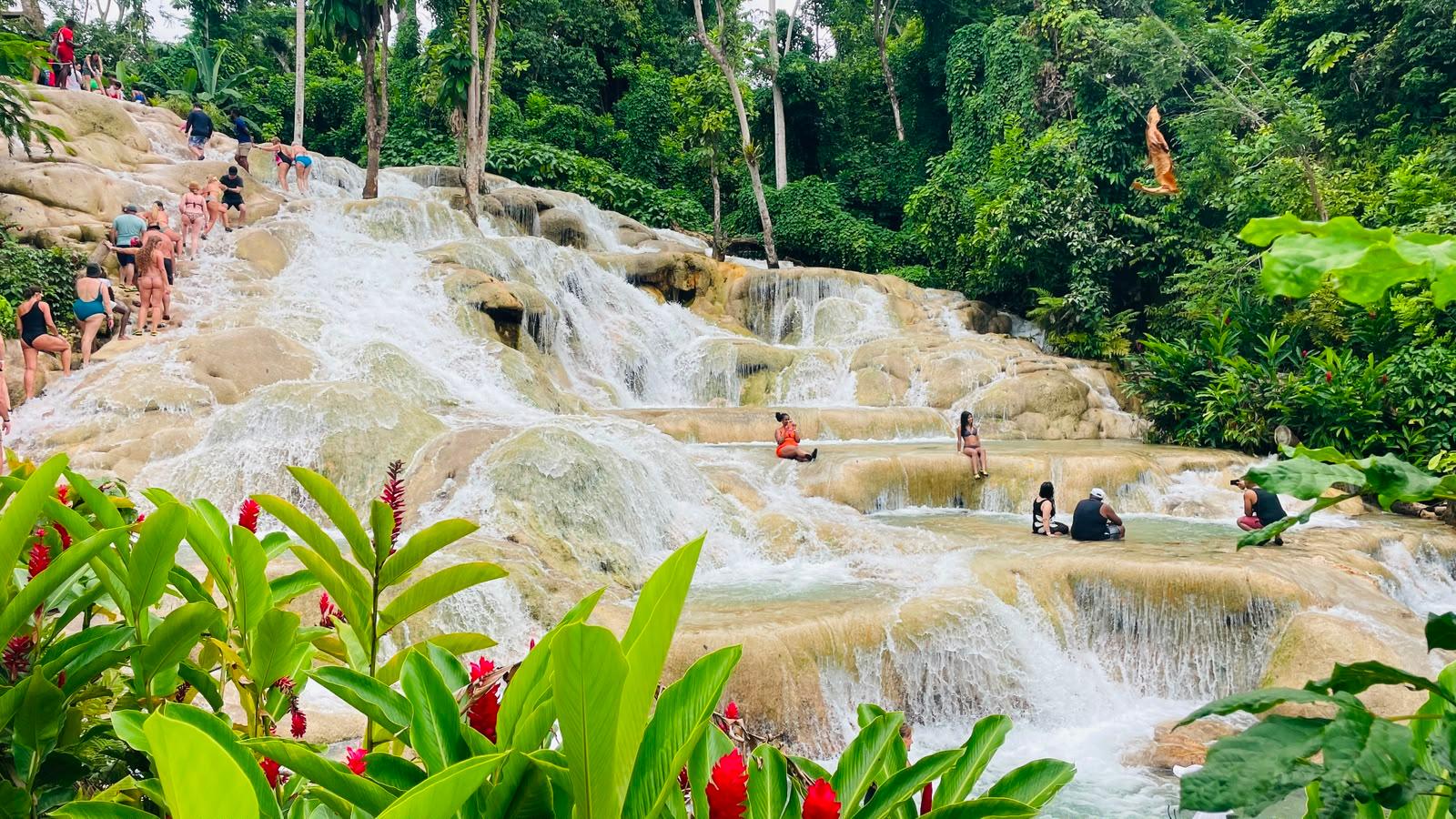 Dunn's River Falls Adventure from Montego Bay