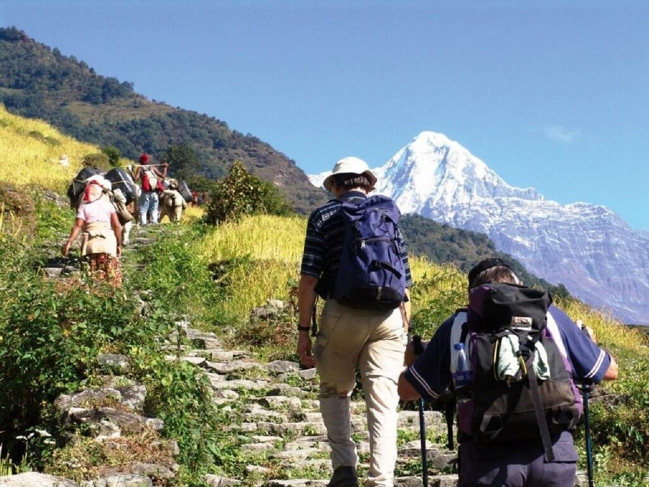 Annapurna Foothills Day Hike from Pokhara with Transfers