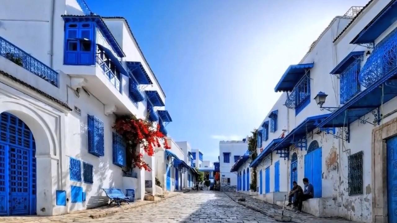 Hammamet: Tunis, Carthage & Sidi Bou Saïd Day Trip