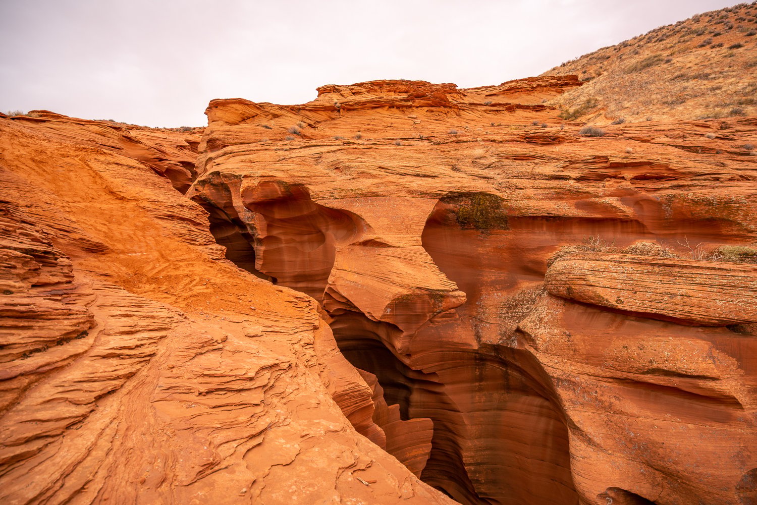 Lower Antelope Canyon slot-canyon tour, Page Arizona — image 14