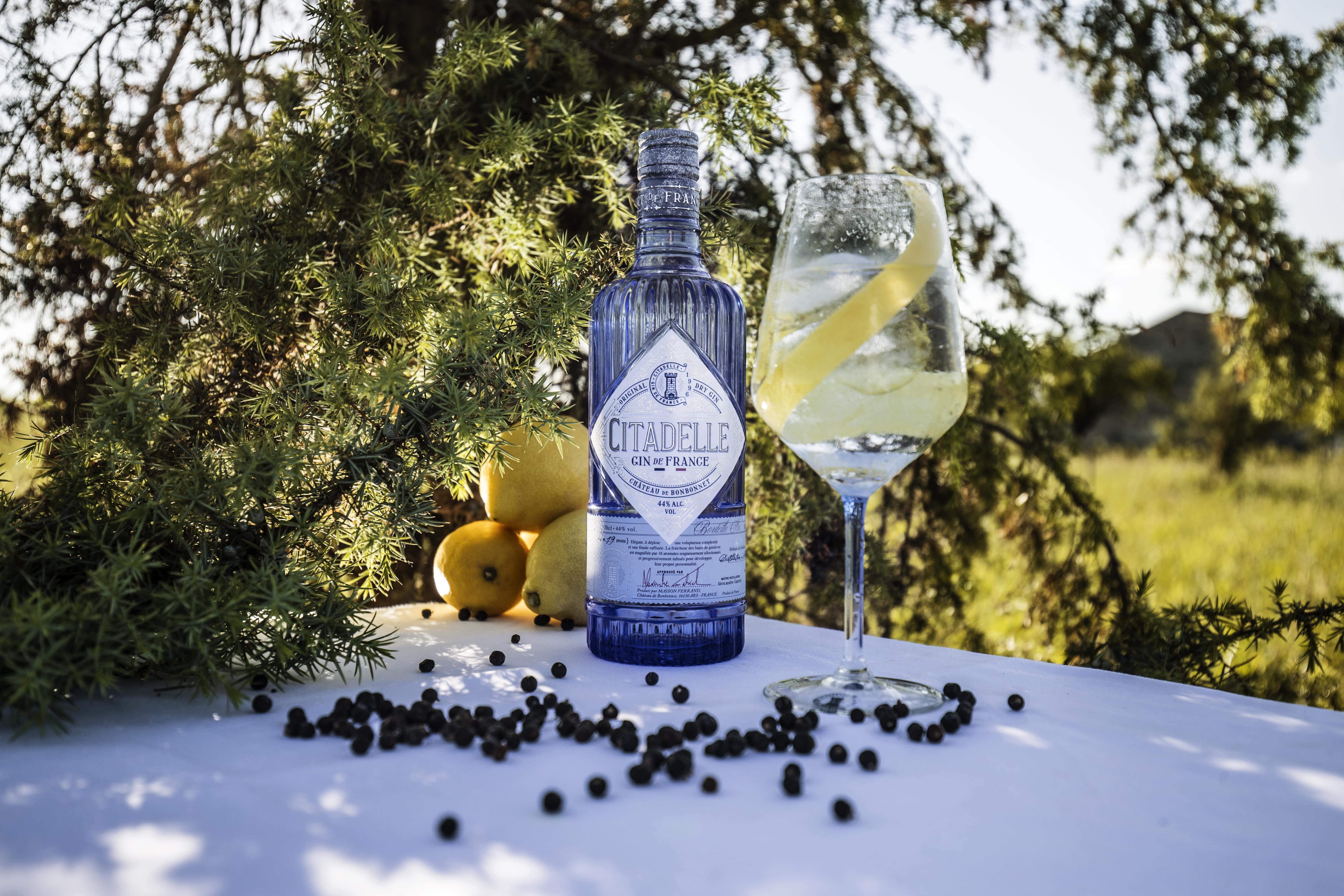 cognac tasting in Cognac — Visit Citadelle Gin Distillery - 2026 (Verified Reviews)