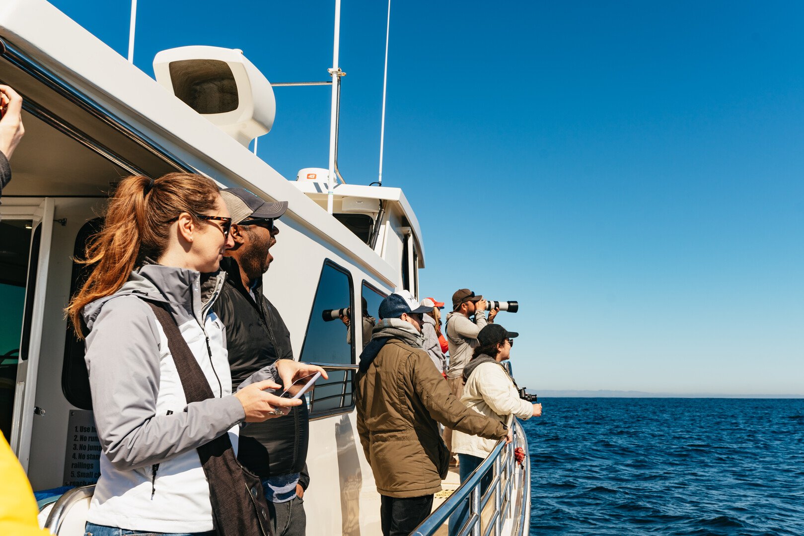 Monterey Bay whale watching tour — whales and marine wildlife — image 1