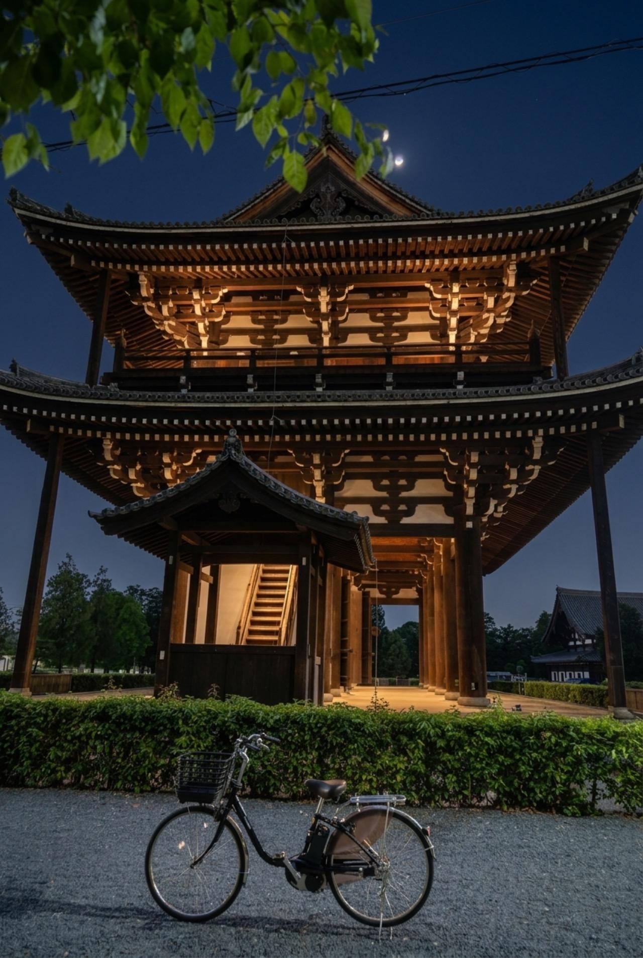 Evening E-Bike Tour: Fushimi Inari & Tofuku-ji Temple