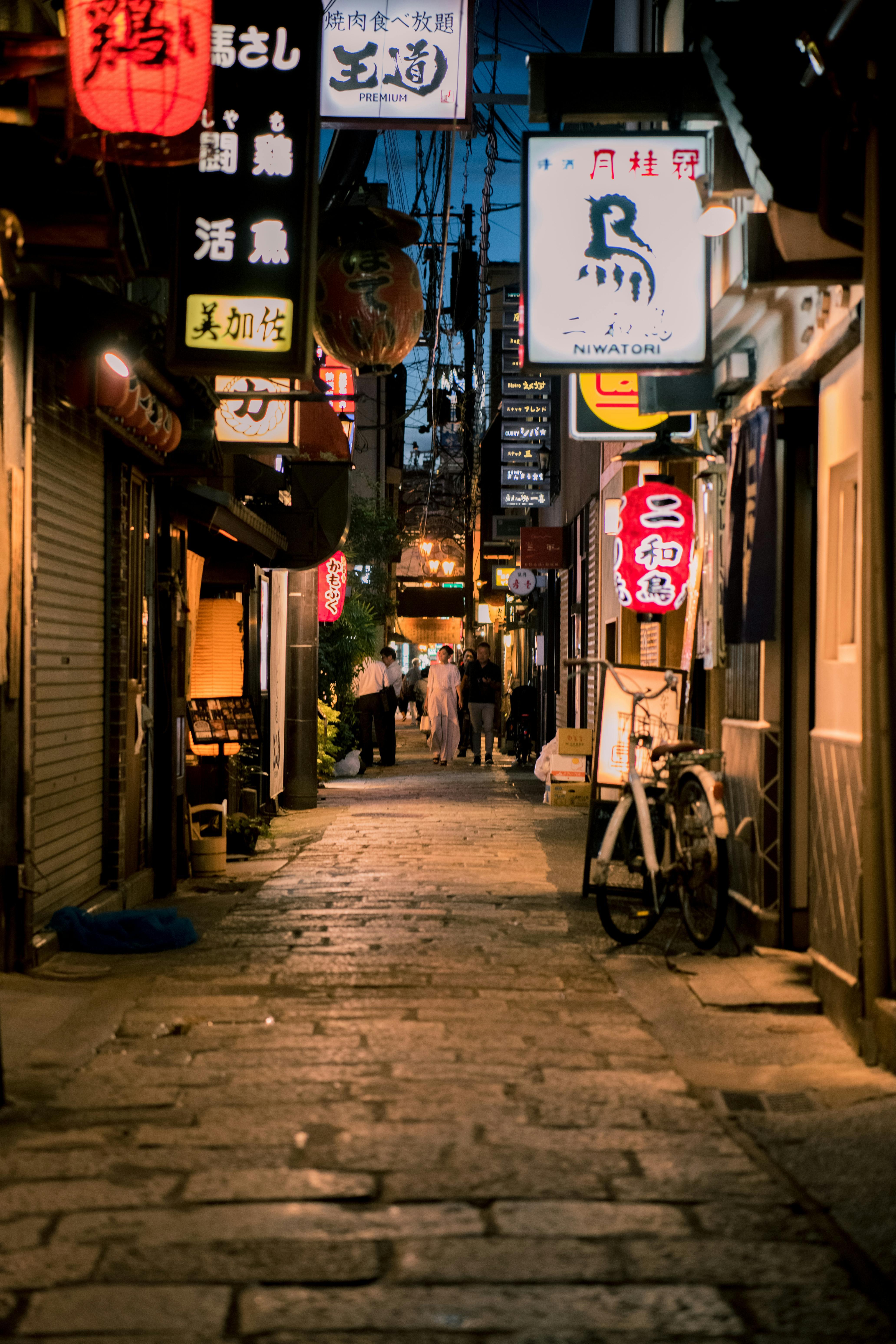Osaka Custom Private Tour by Luxury Vehicle