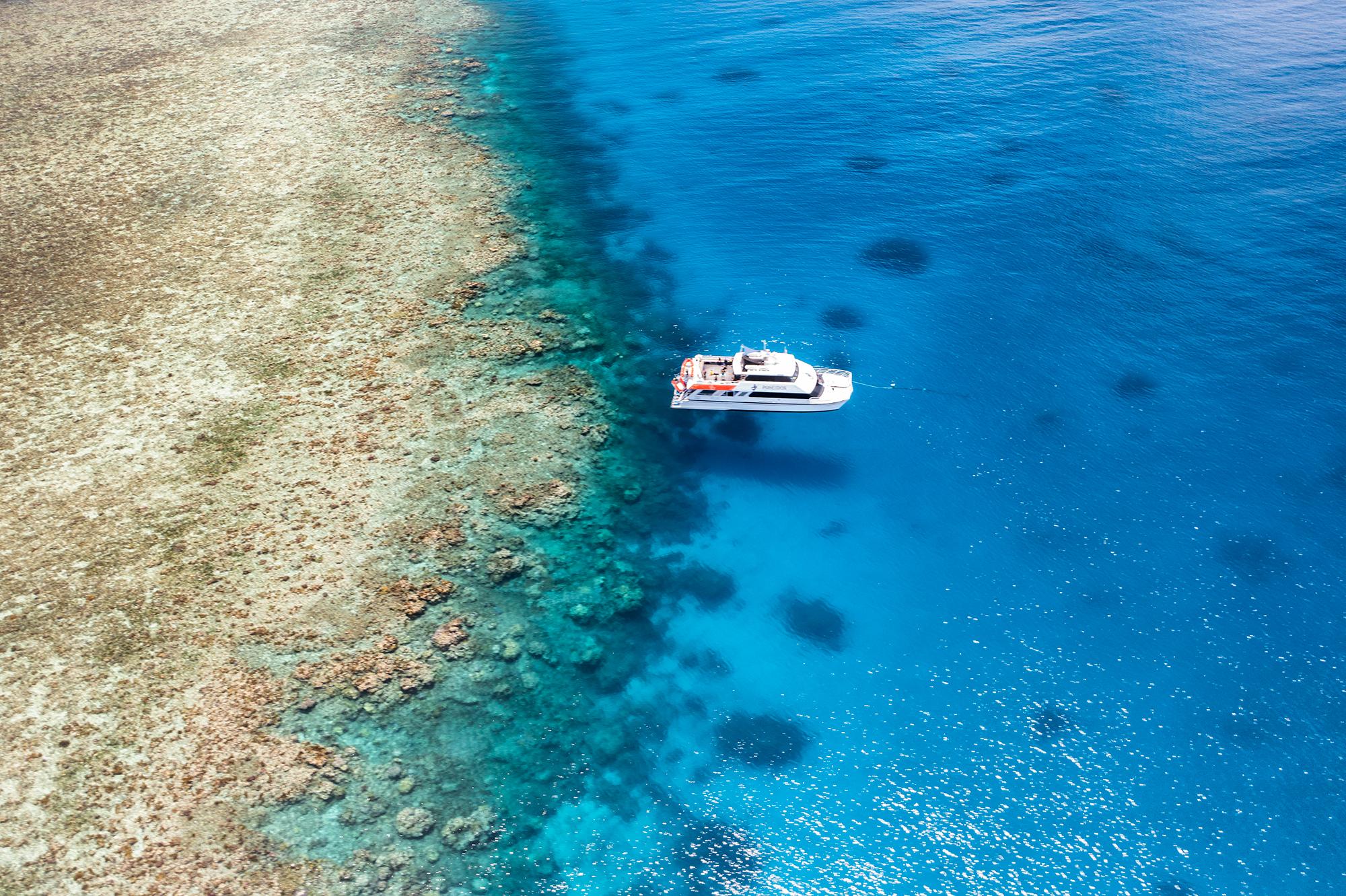 Outer Barrier Reef Diving & Snorkeling Adventure from Port Douglas