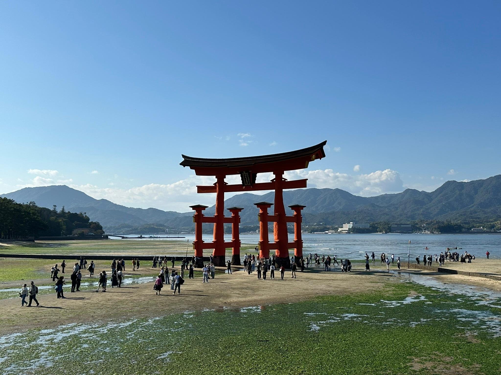 Osaka experience, image 40