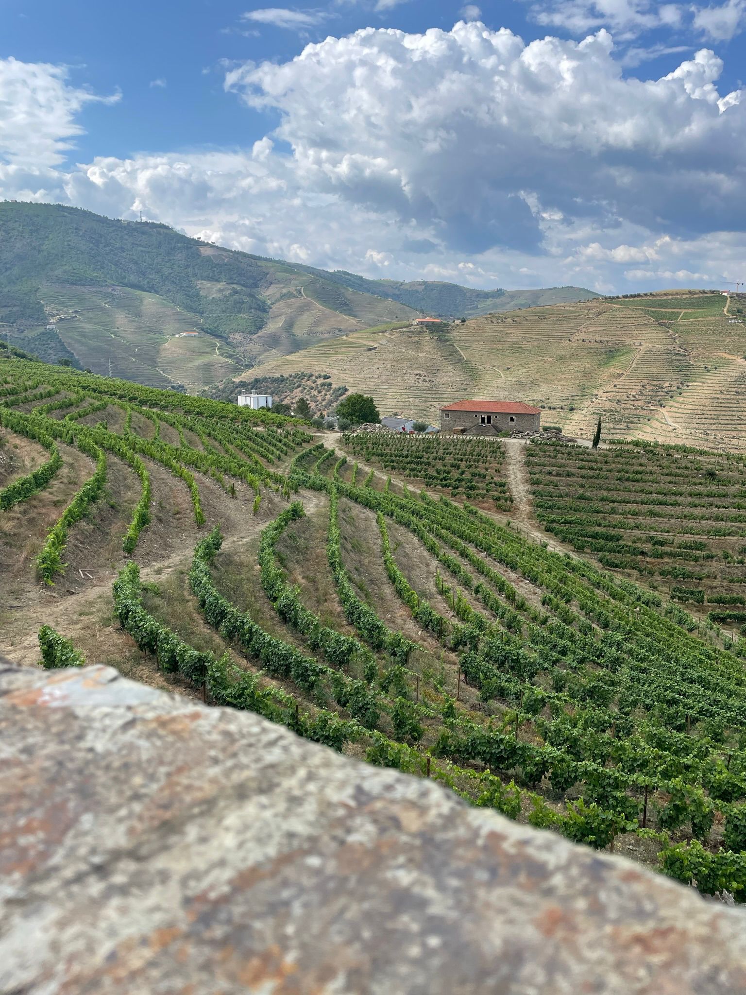 Douro Valley Private Day Tour: Twin Vineyard Visits & River Cruise from Porto