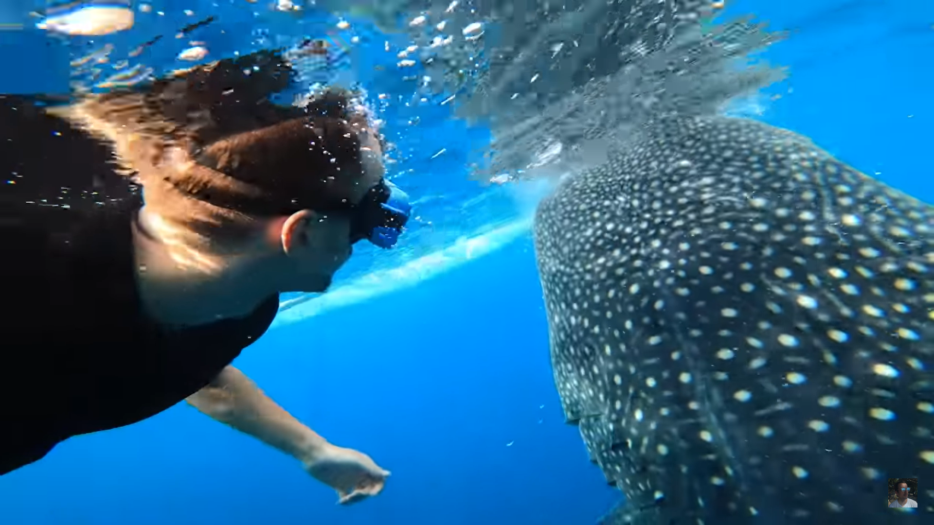Oslob Triple Adventure: Whale Sharks, Tumalog Falls & Sumilon Island
