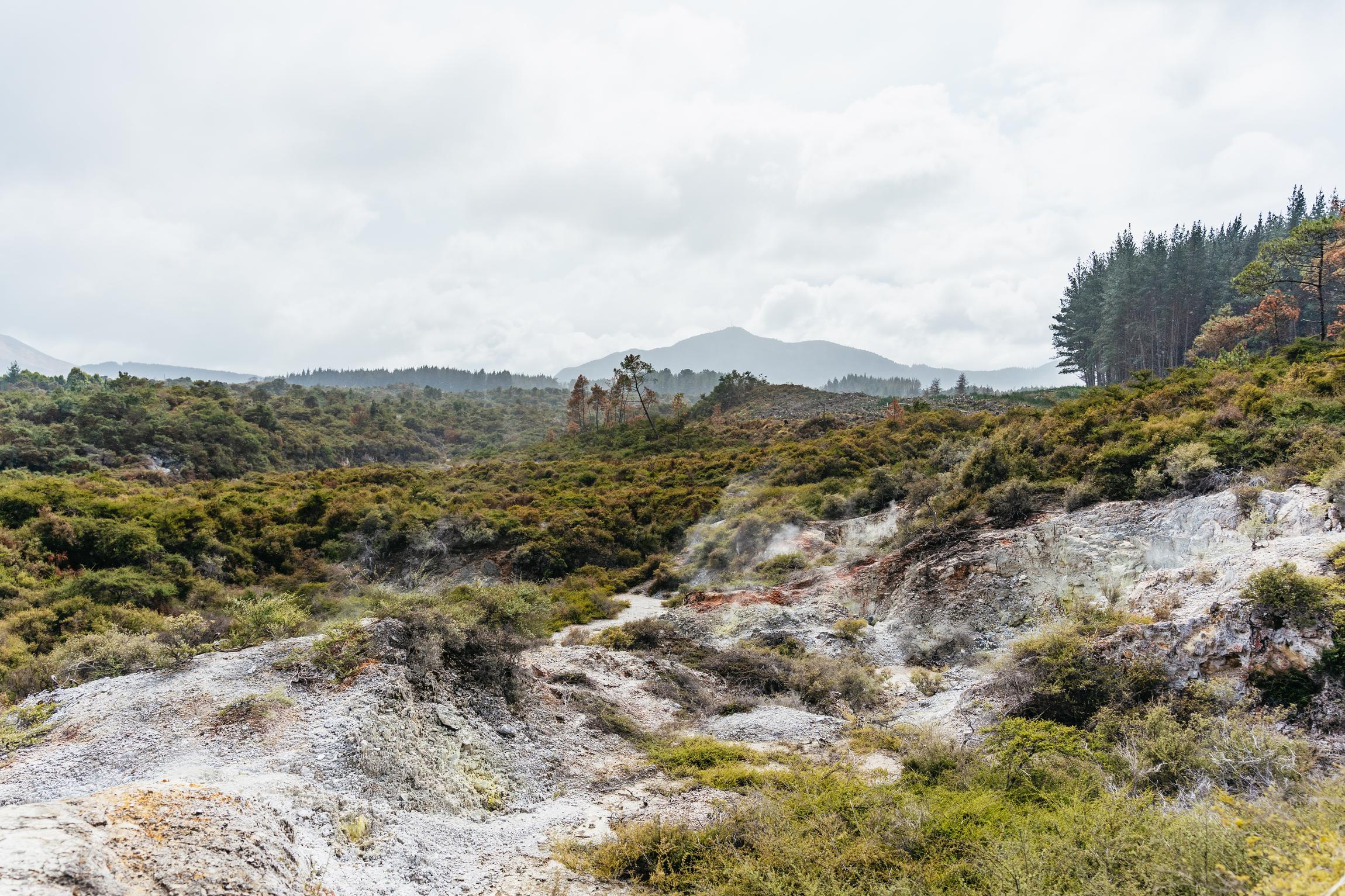 Wai-O-Tapu Thermal Wonderland Rotorua — Champagne Pool and Artist's Palette — image 13