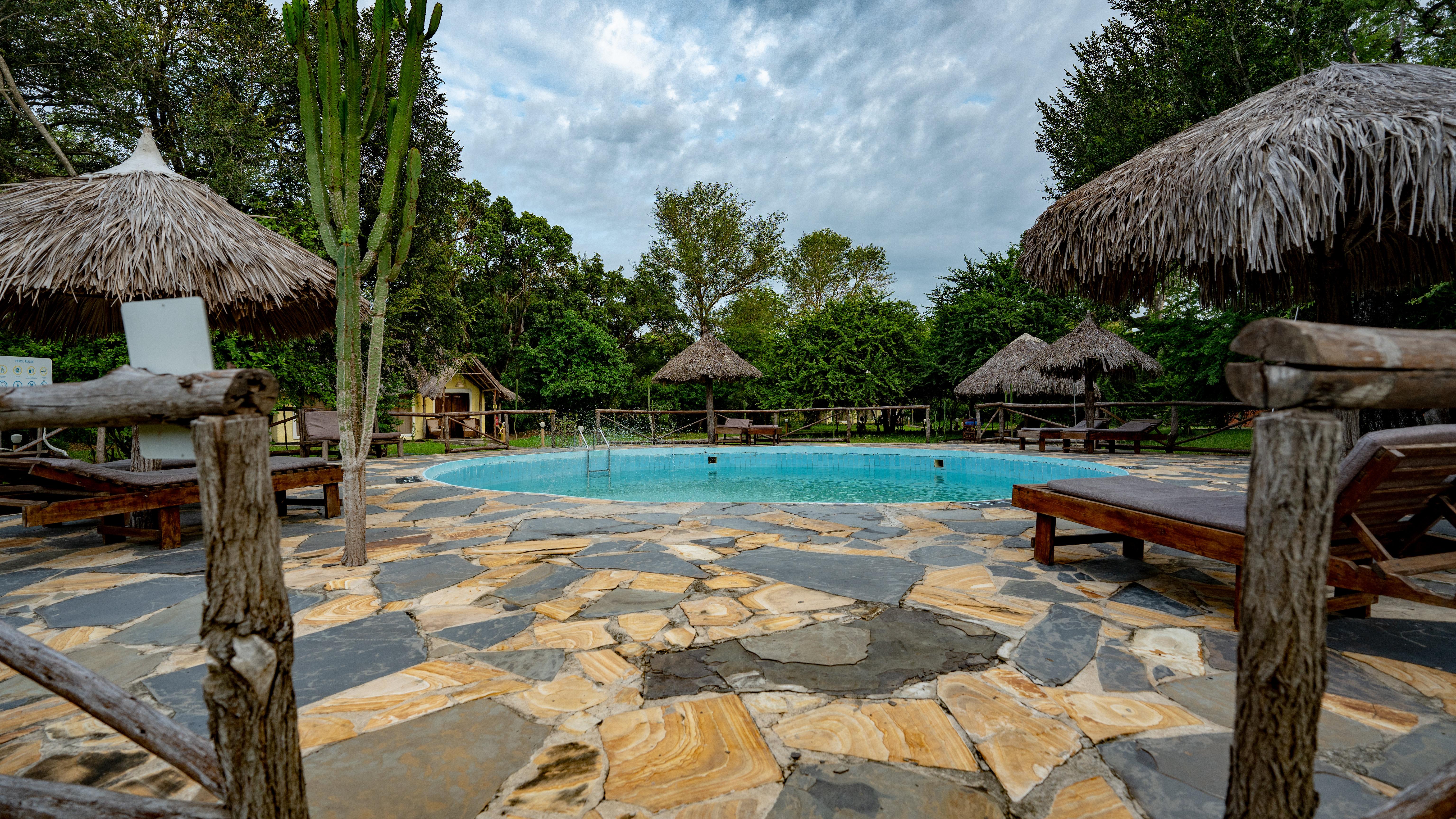 Zanzibar to Selous: 2-Day Safari with Flights & Bush Lunch