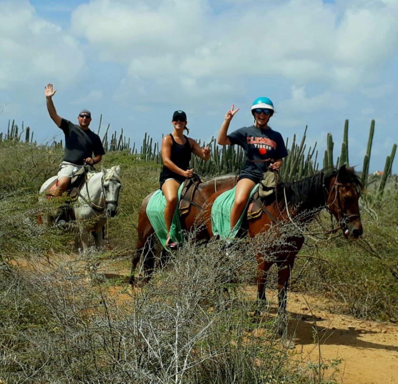 Countryside Horseback Ride to Aruba's Northeast Coast