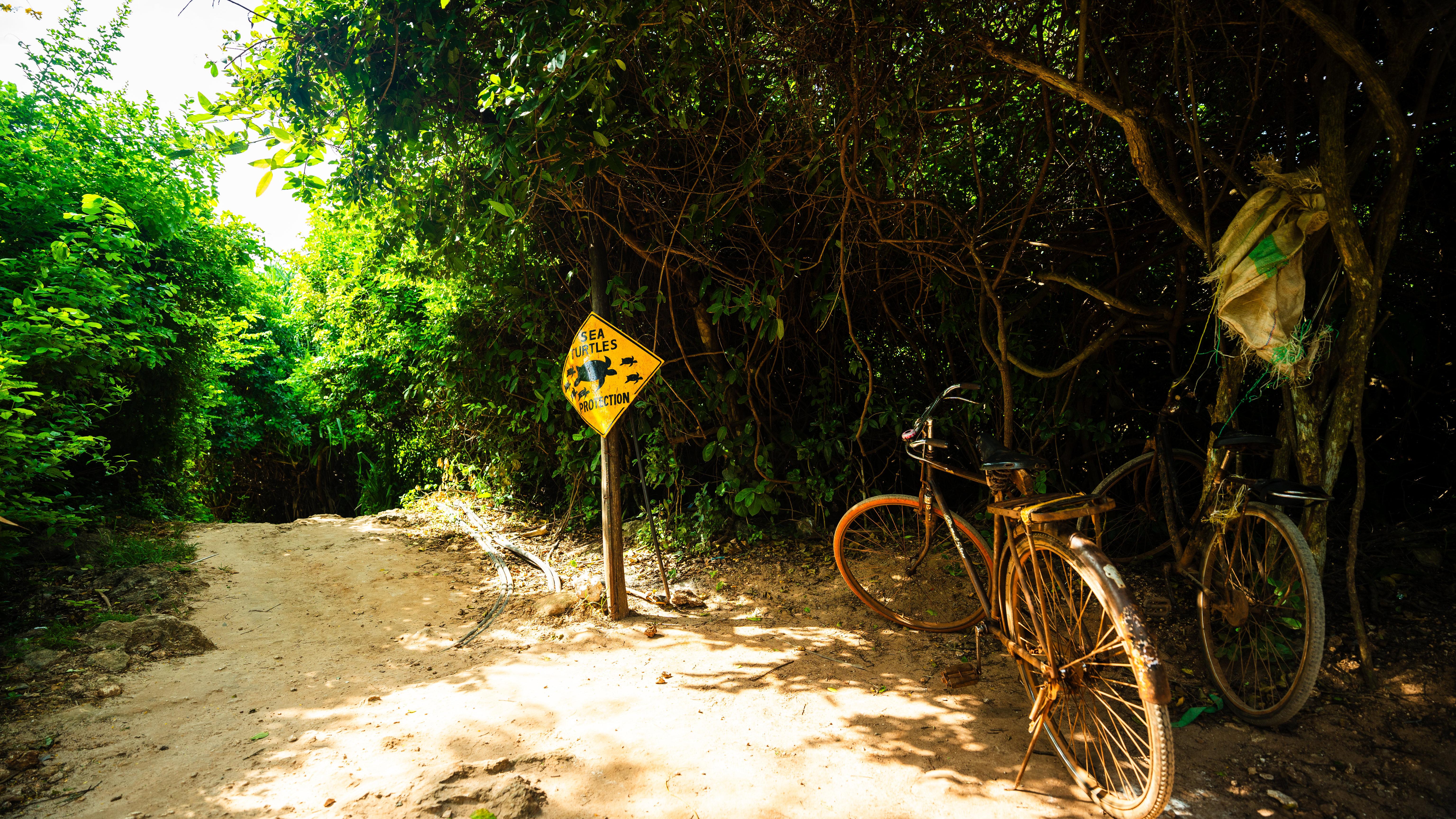 Zanzibar Hidden Gems: Secret Beach, Kuza Cave & Jozani Forest