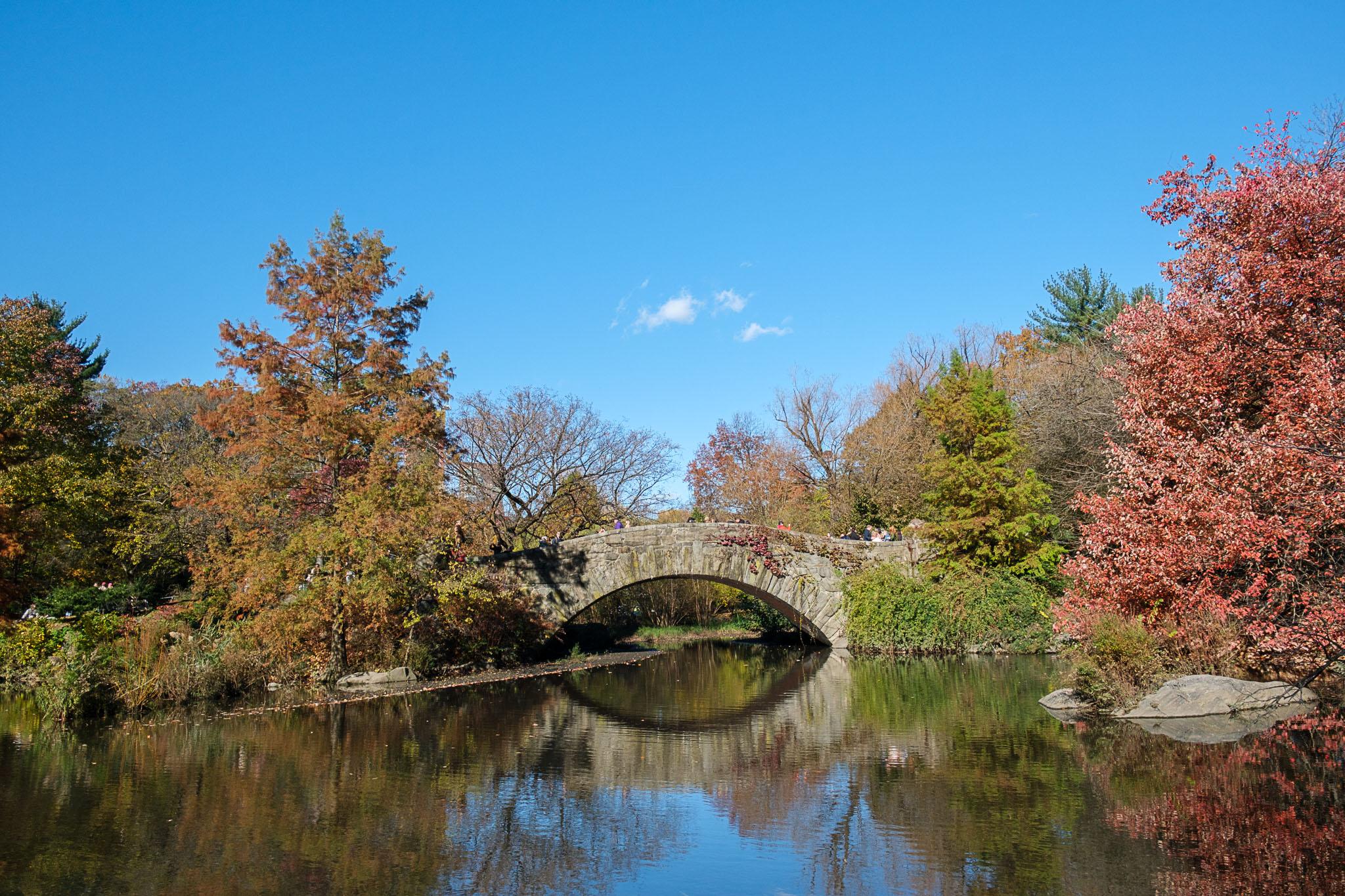 NYC: Private Central Park Pedicab Guided Tour