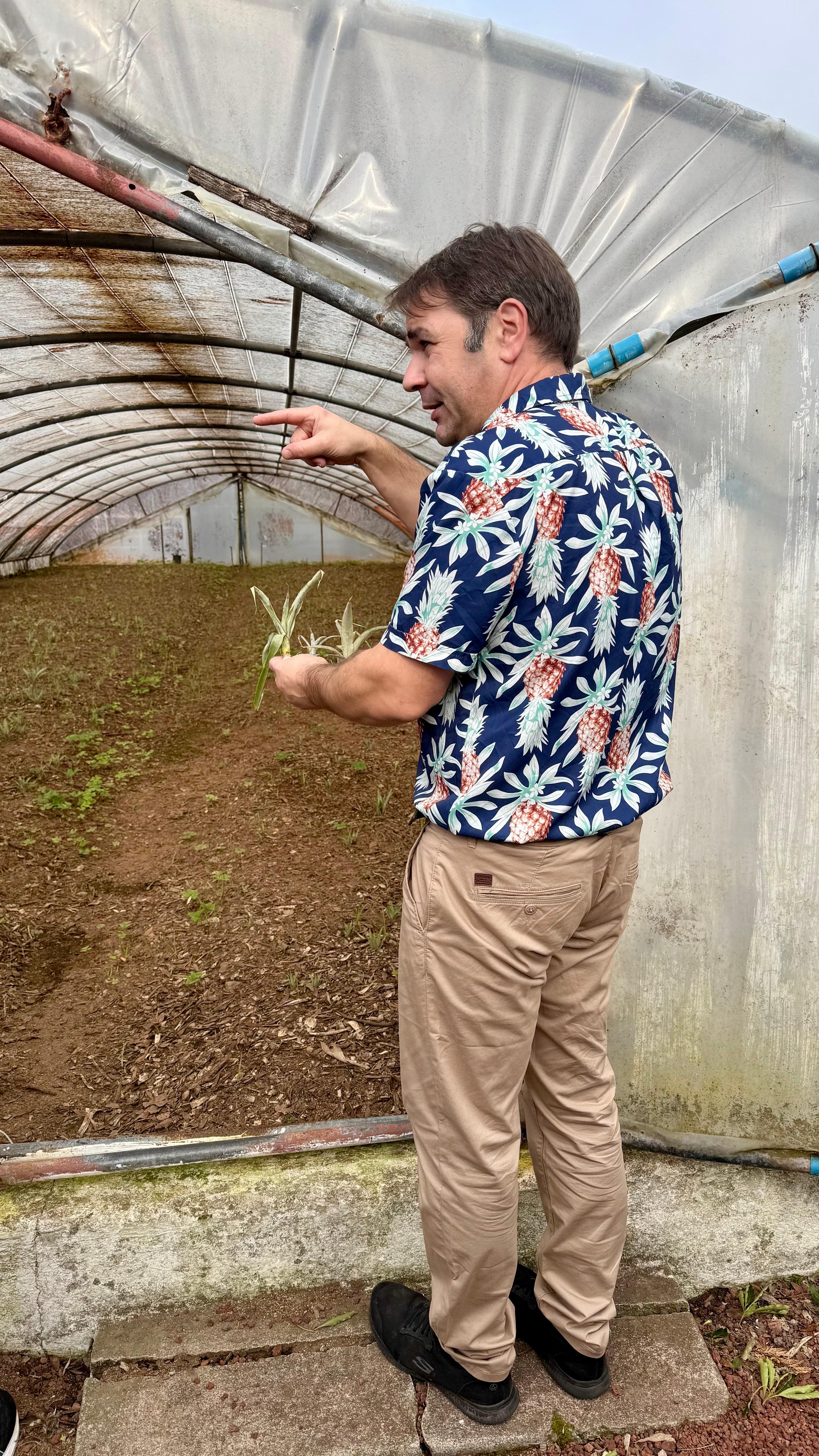 wine tour in Azores — photo 7