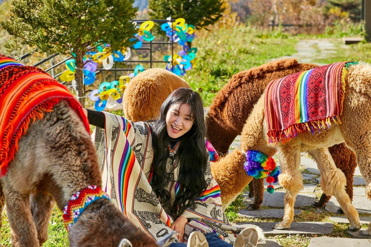 Seoul: Alpaca World, Railbike and opt Garden of Morning Calm