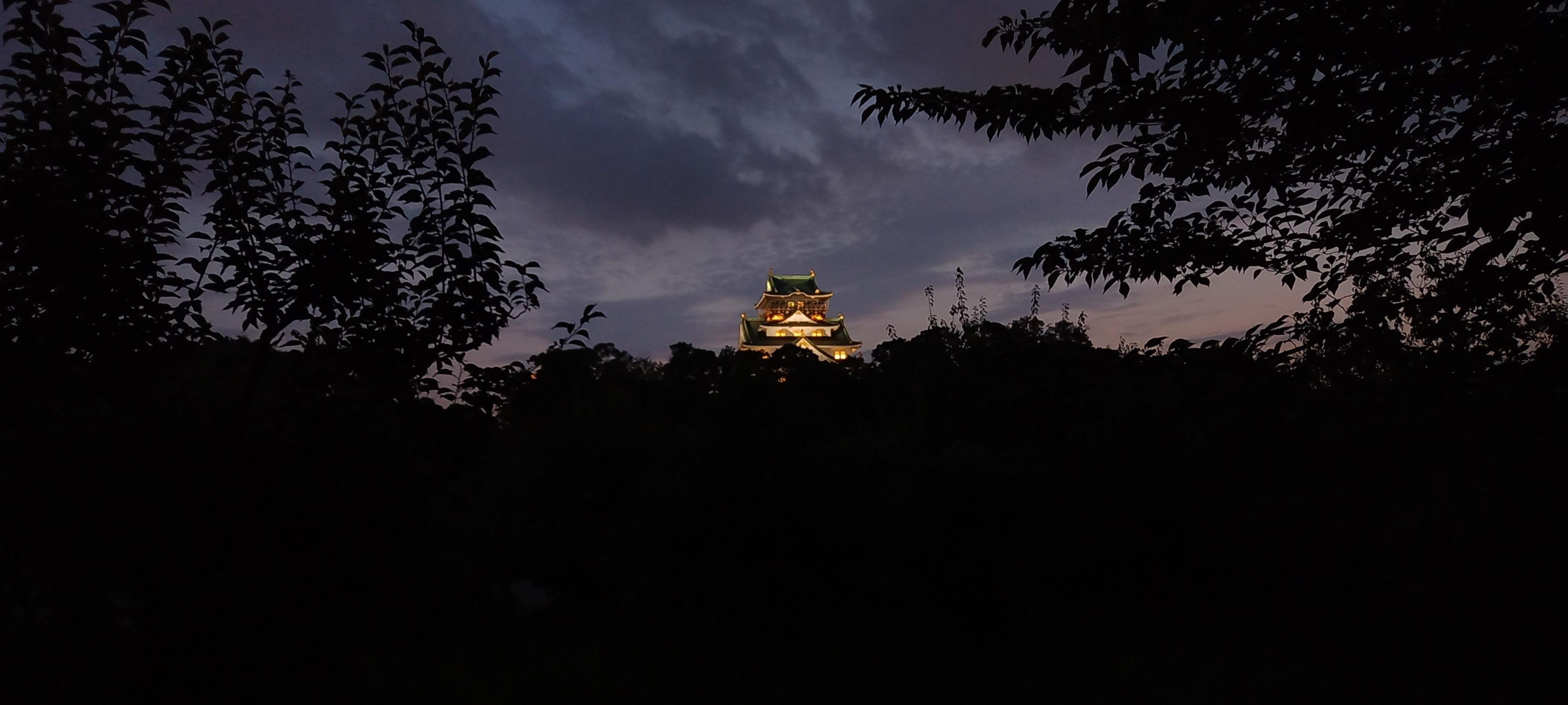 Osaka: Osaka Castle Haunted History Tour (Night & Day)